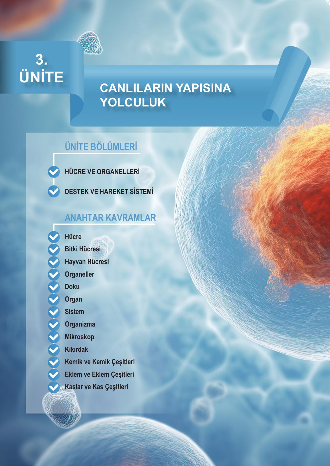 5. Sınıf Meb Yayınları Fen Bilimleri Ders Kitabı Sayfa 100 Cevapları 5. Sınıf Meb Yayınları Fen Bilimleri Ders Kitabı Sayfa 100 Cevapları