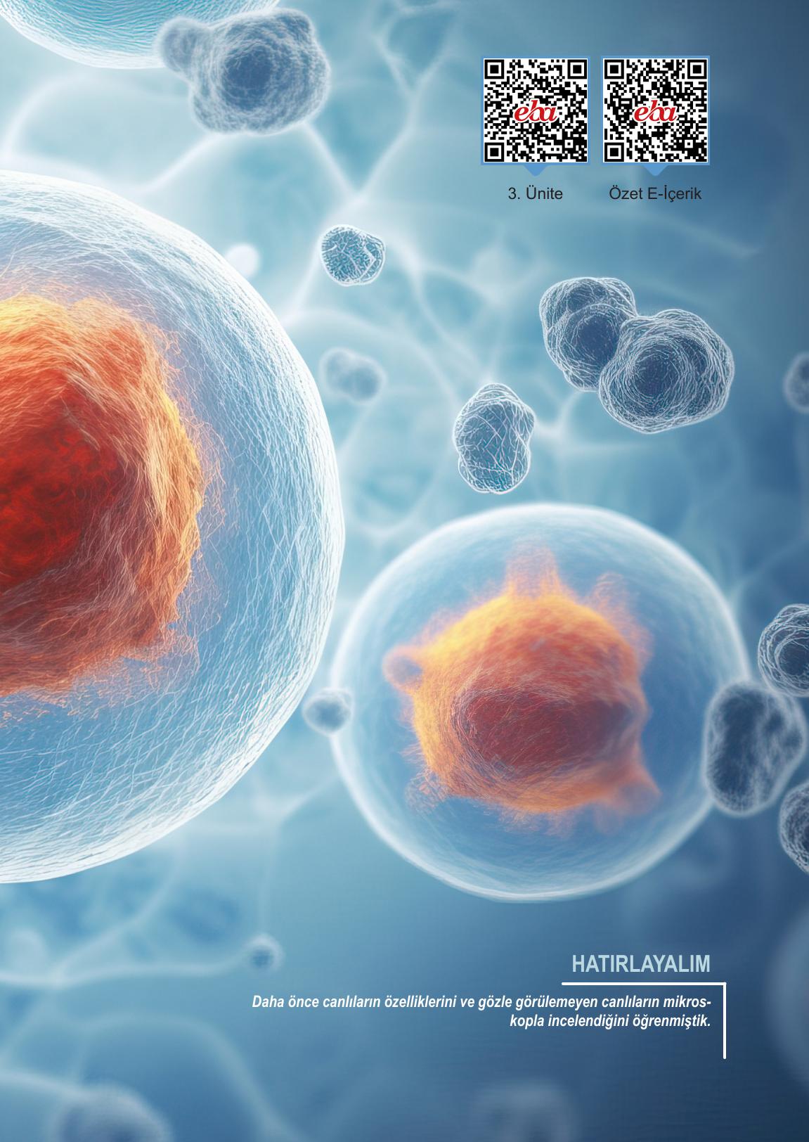 5. Sınıf Meb Yayınları Fen Bilimleri Ders Kitabı Sayfa 101 Cevapları 5. Sınıf Meb Yayınları Fen Bilimleri Ders Kitabı Sayfa 101 Cevapları