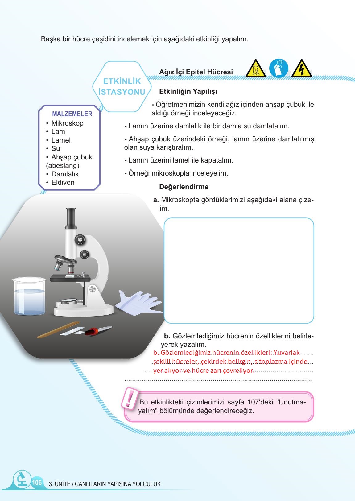 5. Sınıf Meb Yayınları Fen Bilimleri Ders Kitabı Sayfa 106 Cevapları