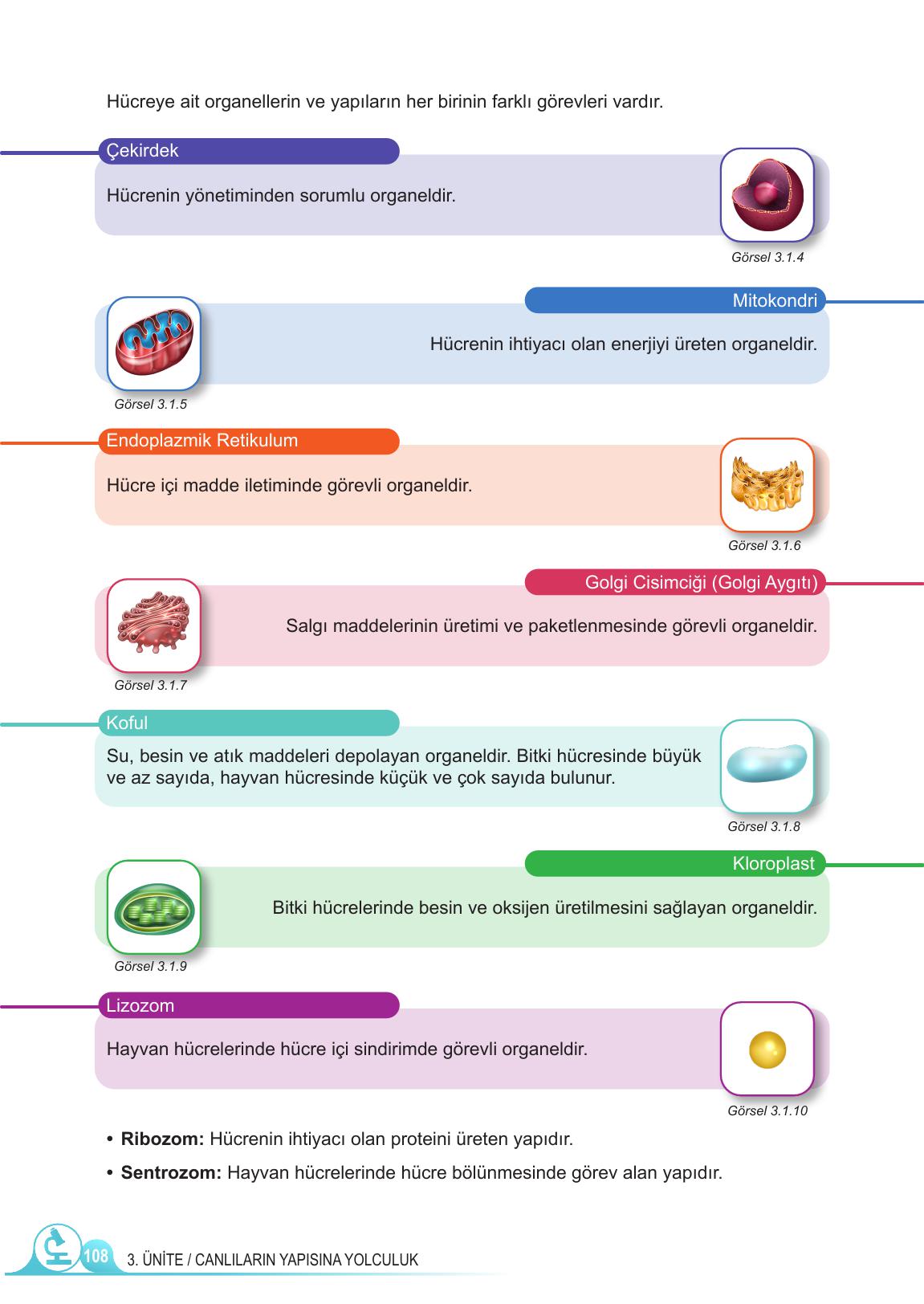5. Sınıf Meb Yayınları Fen Bilimleri Ders Kitabı Sayfa 108 Cevapları
