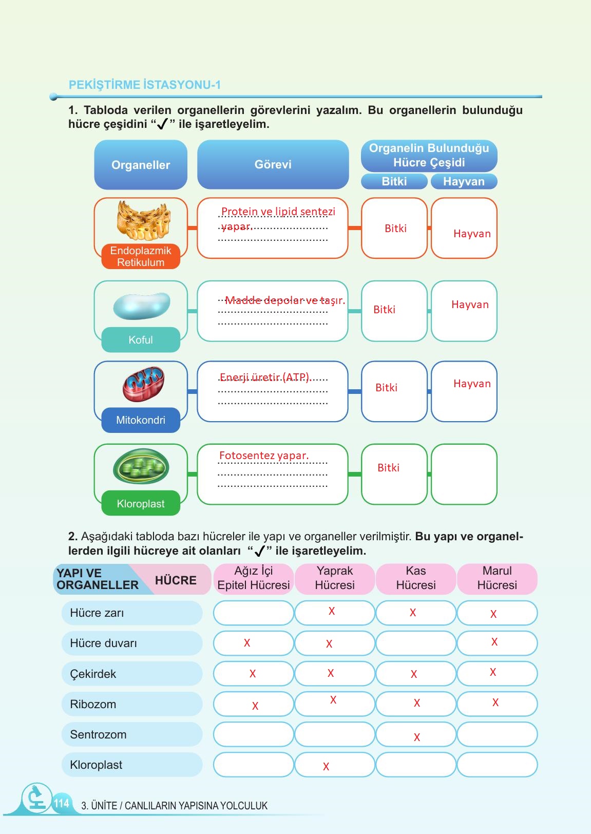5. Sınıf Meb Yayınları Fen Bilimleri Ders Kitabı Sayfa 114 Cevapları