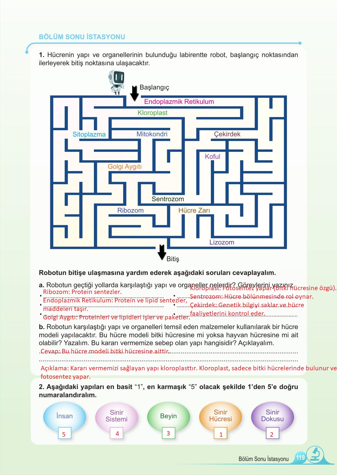 5. Sınıf Meb Yayınları Fen Bilimleri Ders Kitabı Sayfa 119 Cevapları