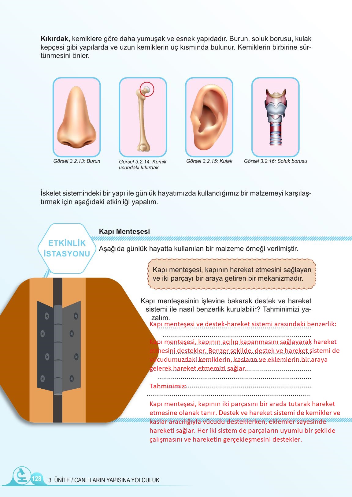 5. Sınıf Meb Yayınları Fen Bilimleri Ders Kitabı Sayfa 128 Cevapları