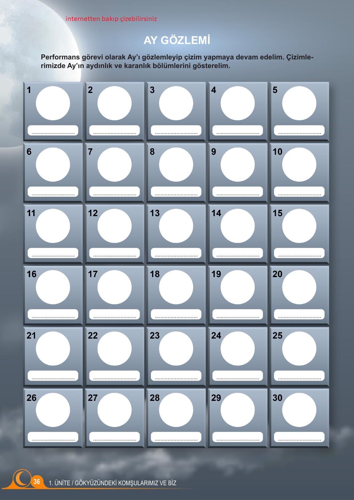 5. Sınıf Meb Yayınları Fen Bilimleri Ders Kitabı Sayfa 36 Cevapları