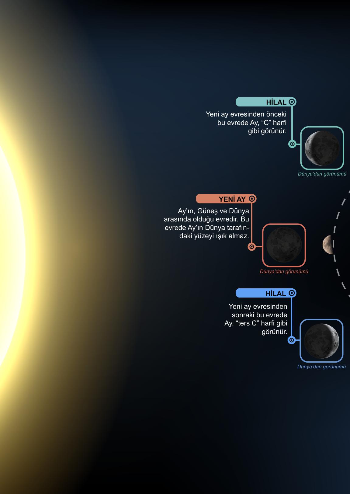5. Sınıf Meb Yayınları Fen Bilimleri Ders Kitabı Sayfa 38 Cevapları 5. Sınıf Meb Yayınları Fen Bilimleri Ders Kitabı Sayfa 38 Cevapları
