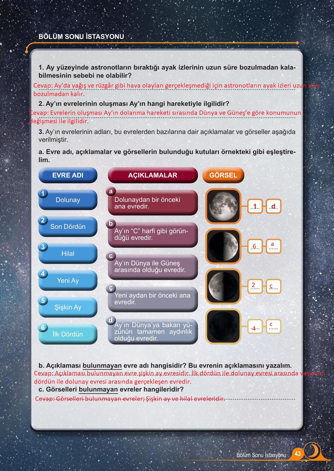 5. Sınıf Meb Yayınları Fen Bilimleri Ders Kitabı Sayfa 43 Cevapları