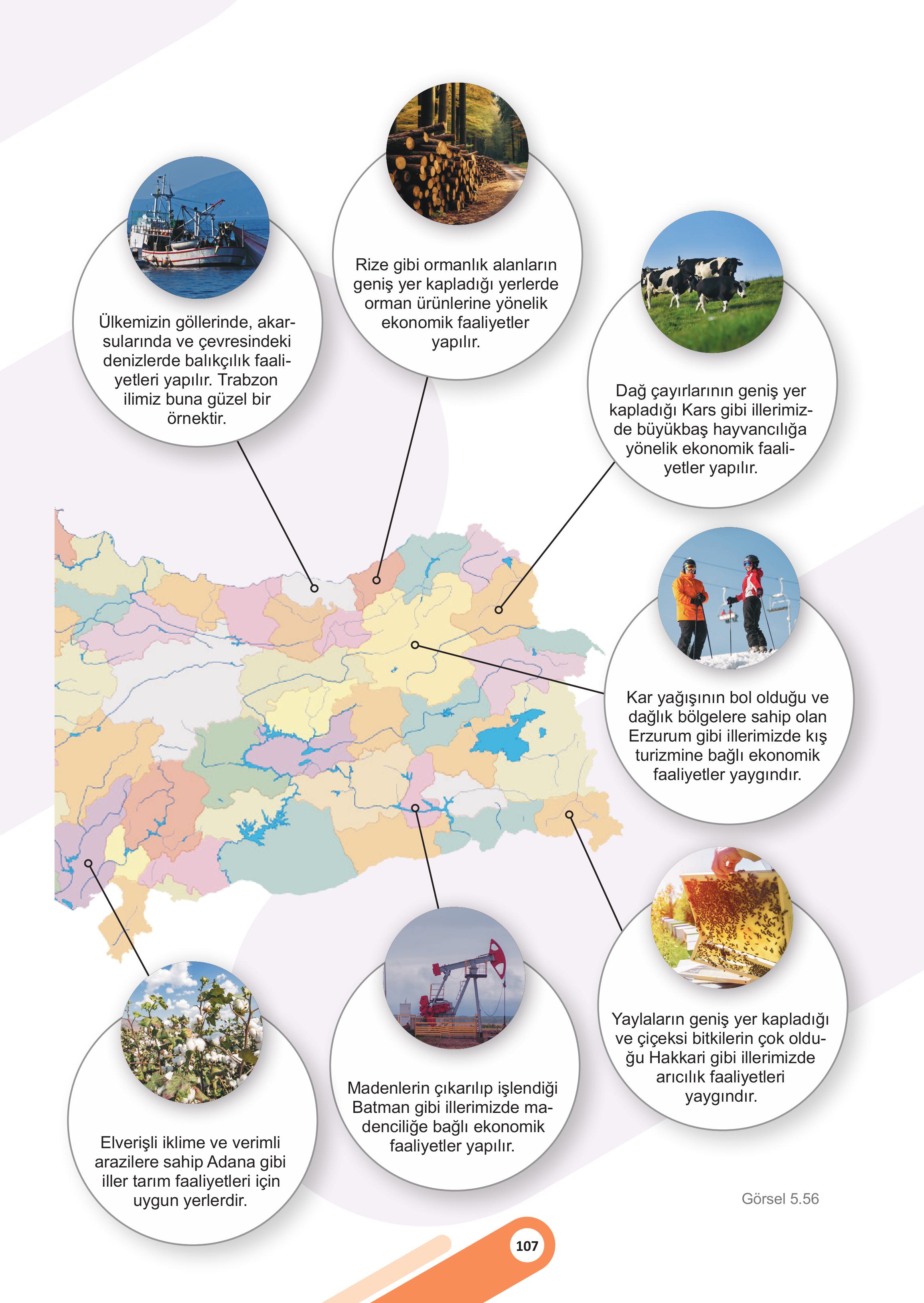 5. Sınıf Meb Yayınları Sosyal Bilgiler 2. Kitap Ders Kitabı Sayfa 107 Cevapları 5. Sınıf Meb Yayınları Sosyal Bilgiler 2. Kitap Ders Kitabı Sayfa 107 Cevapları