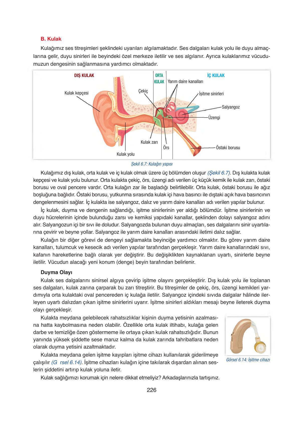 6. Sınıf Gün Yayıncılık Fen Bilimleri Ders Kitabı Sayfa 226 Cevapları 6. Sınıf Gün Yayıncılık Fen Bilimleri Ders Kitabı Sayfa 226 Cevapları