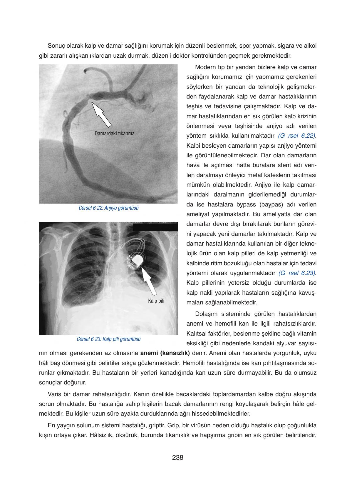 6. Sınıf Gün Yayıncılık Fen Bilimleri Ders Kitabı Sayfa 238 Cevapları