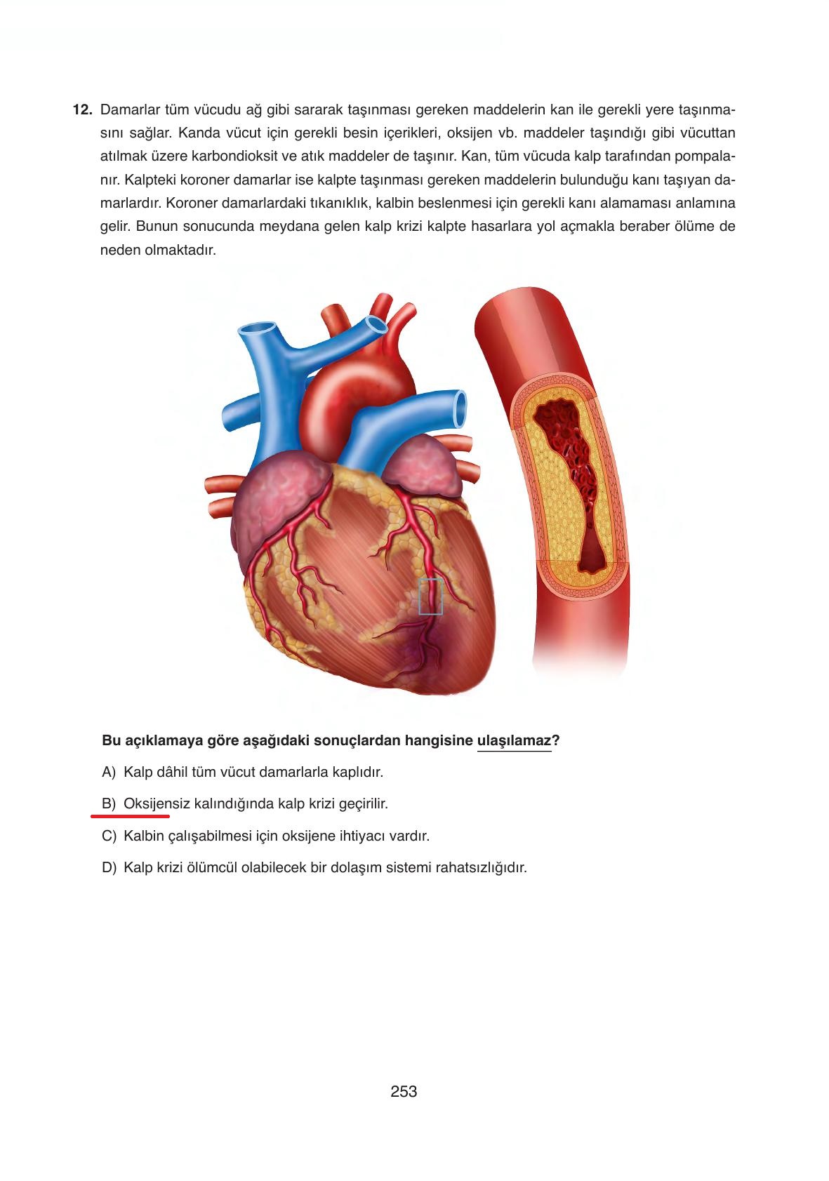 6. Sınıf Gün Yayıncılık Fen Bilimleri Ders Kitabı Sayfa 253 Cevapları 6. Sınıf Gün Yayıncılık Fen Bilimleri Ders Kitabı Sayfa 253 Cevapları