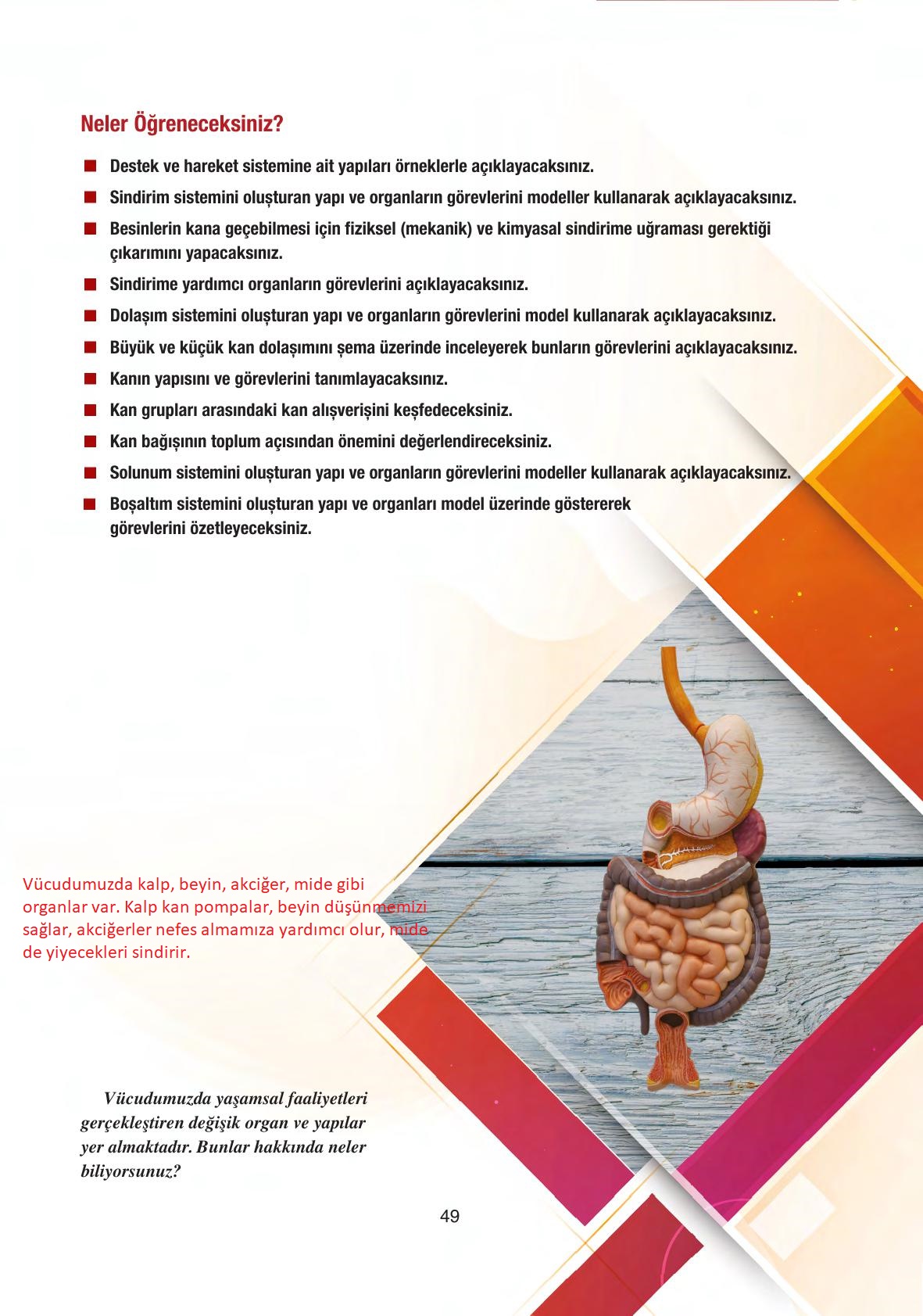 6. Sınıf Gün Yayıncılık Fen Bilimleri Ders Kitabı Sayfa 49 Cevapları