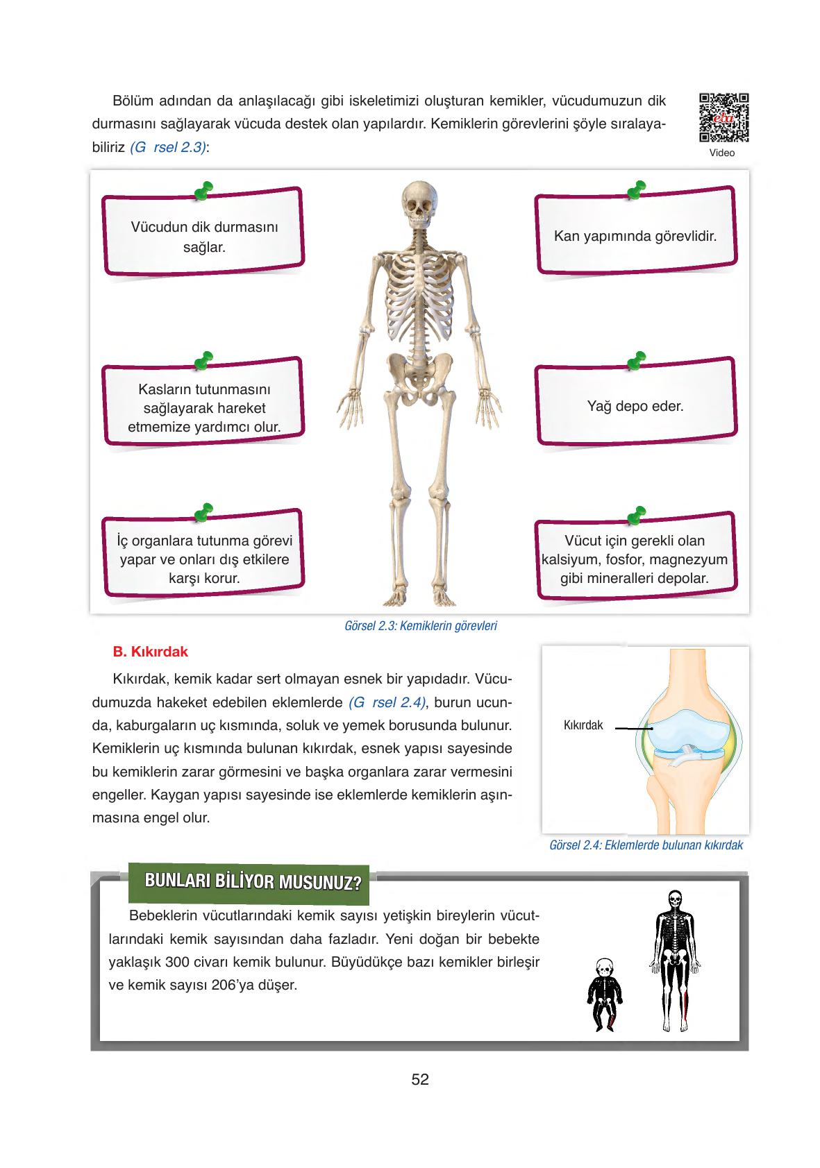 6. Sınıf Gün Yayıncılık Fen Bilimleri Ders Kitabı Sayfa 52 Cevapları