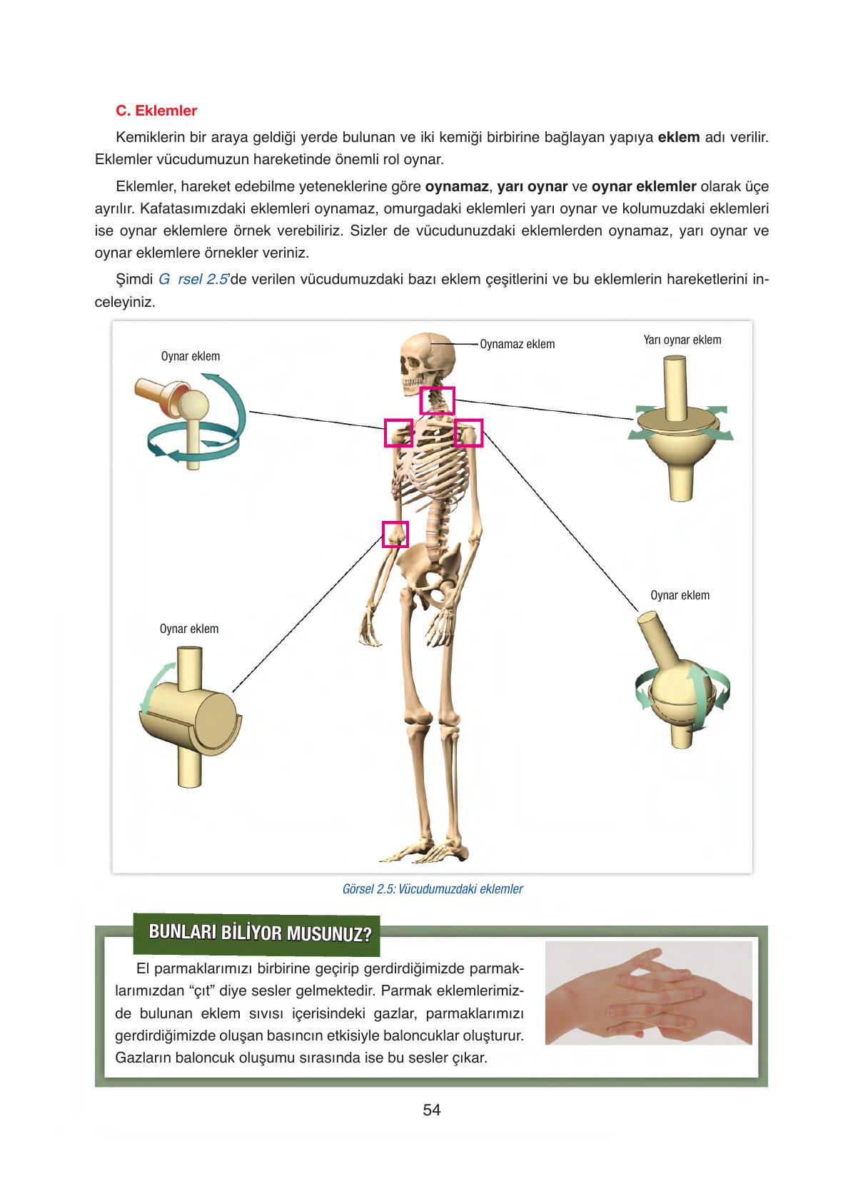 6. Sınıf Gün Yayıncılık Fen Bilimleri Ders Kitabı Sayfa 54 Cevapları 6. Sınıf Gün Yayıncılık Fen Bilimleri Ders Kitabı Sayfa 54 Cevapları