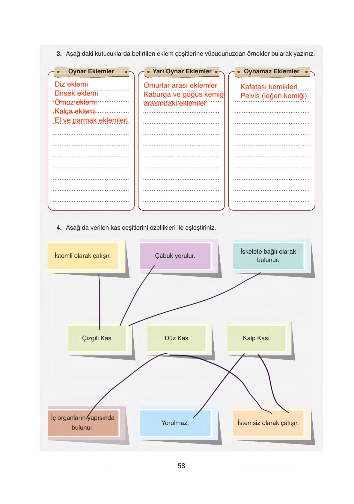 6. Sınıf Gün Yayıncılık Fen Bilimleri Ders Kitabı Sayfa 58 Cevapları