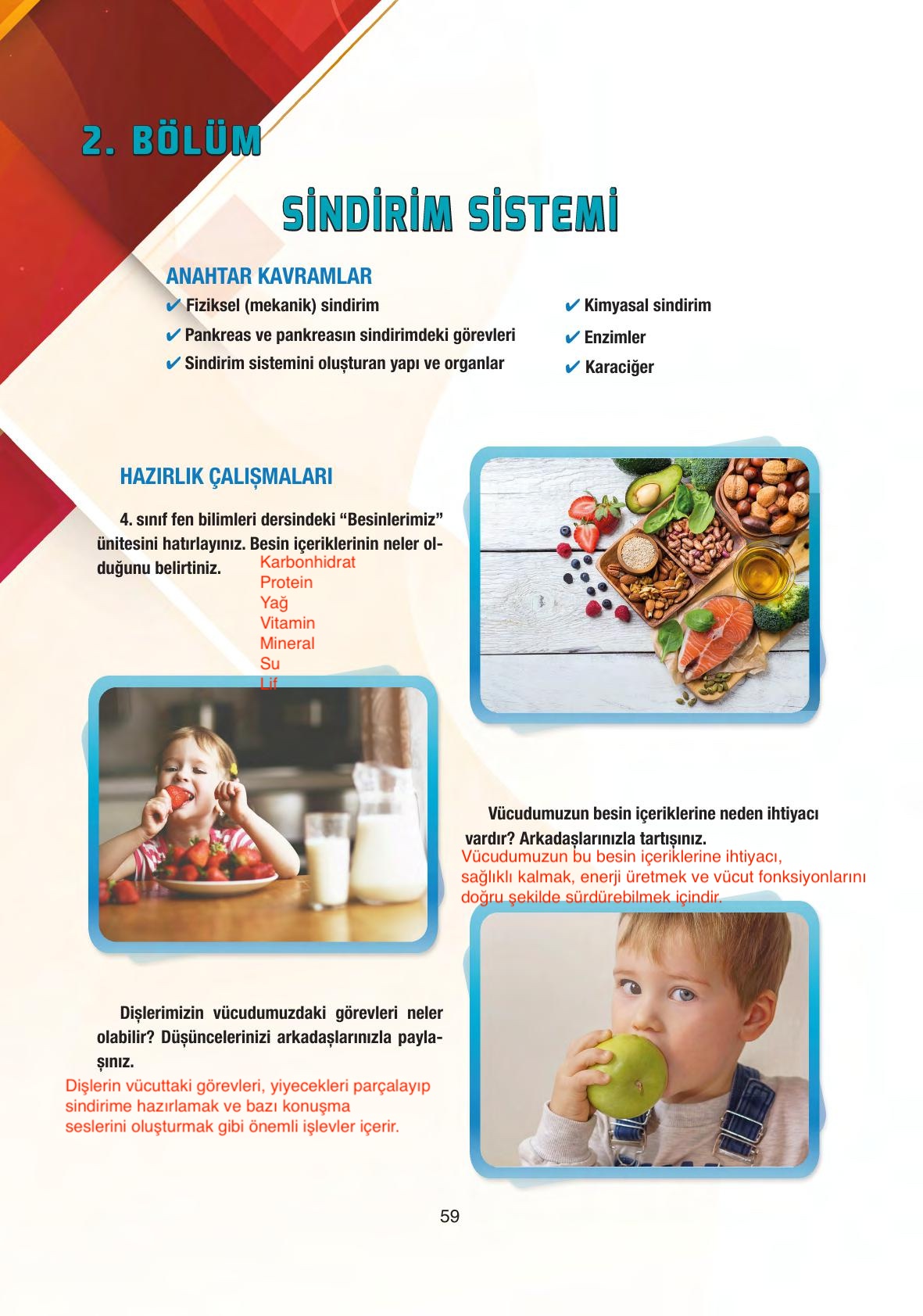 6. Sınıf Gün Yayıncılık Fen Bilimleri Ders Kitabı Sayfa 59 Cevapları 6. Sınıf Gün Yayıncılık Fen Bilimleri Ders Kitabı Sayfa 59 Cevapları