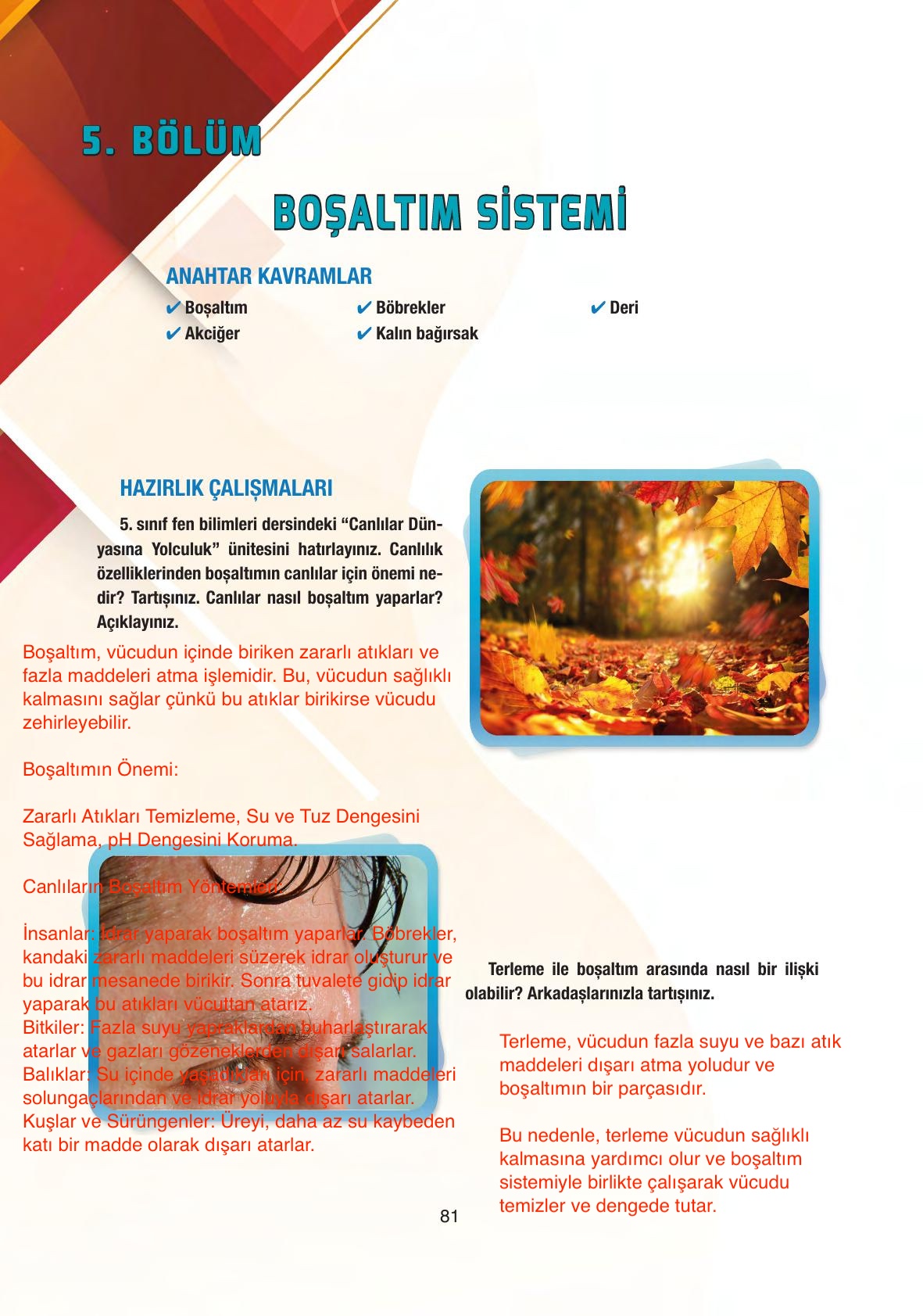 6. Sınıf Gün Yayıncılık Fen Bilimleri Ders Kitabı Sayfa 81 Cevapları 6. Sınıf Gün Yayıncılık Fen Bilimleri Ders Kitabı Sayfa 81 Cevapları