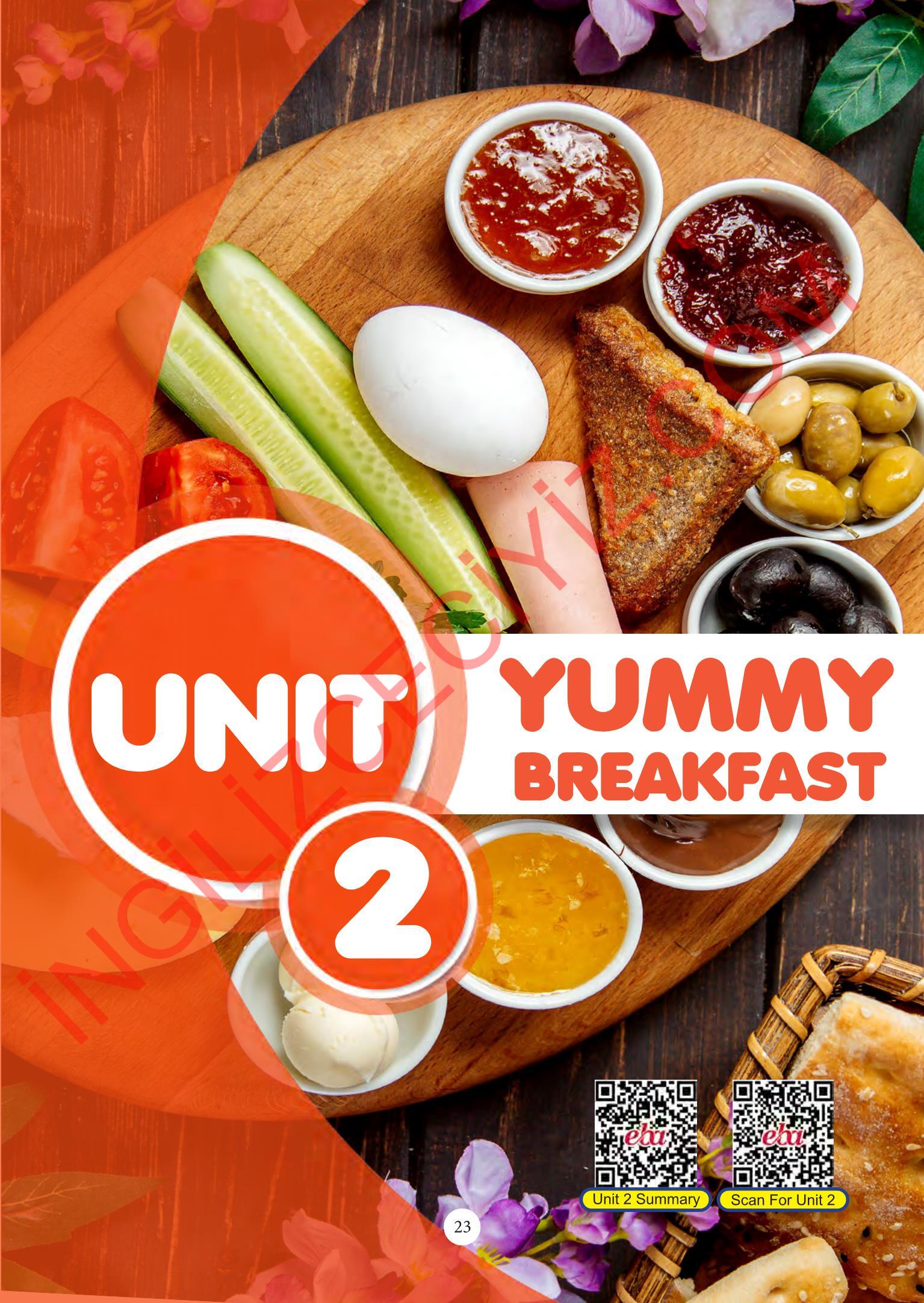 6. Sınıf Meb Yayınları İngilizce Ders Kitabı Sayfa 23 Cevapları 6. Sınıf Meb Yayınları İngilizce Ders Kitabı Sayfa 23 Cevapları