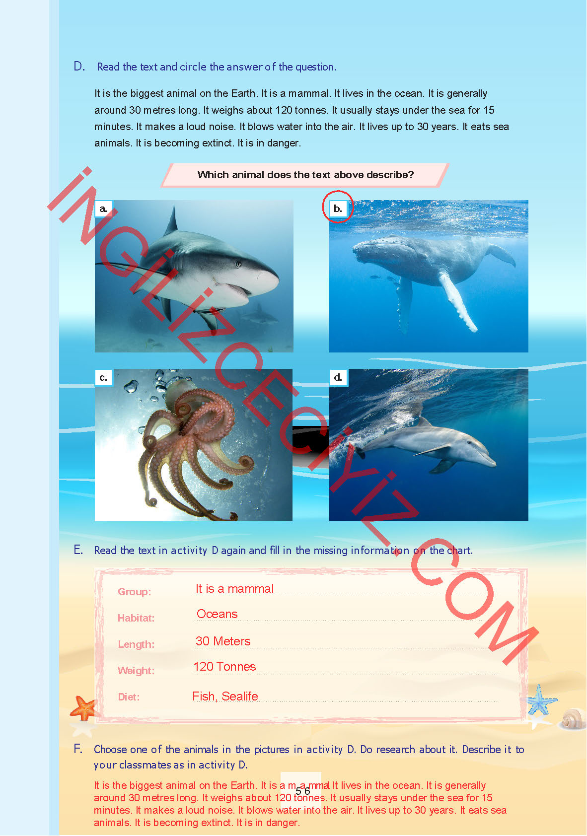 7. Sınıf Yıldırım Yayınları İngilizce Ders Kitabı Sayfa 56 Cevapları 7. Sınıf Yıldırım Yayınları İngilizce Ders Kitabı Sayfa 56 Cevapları