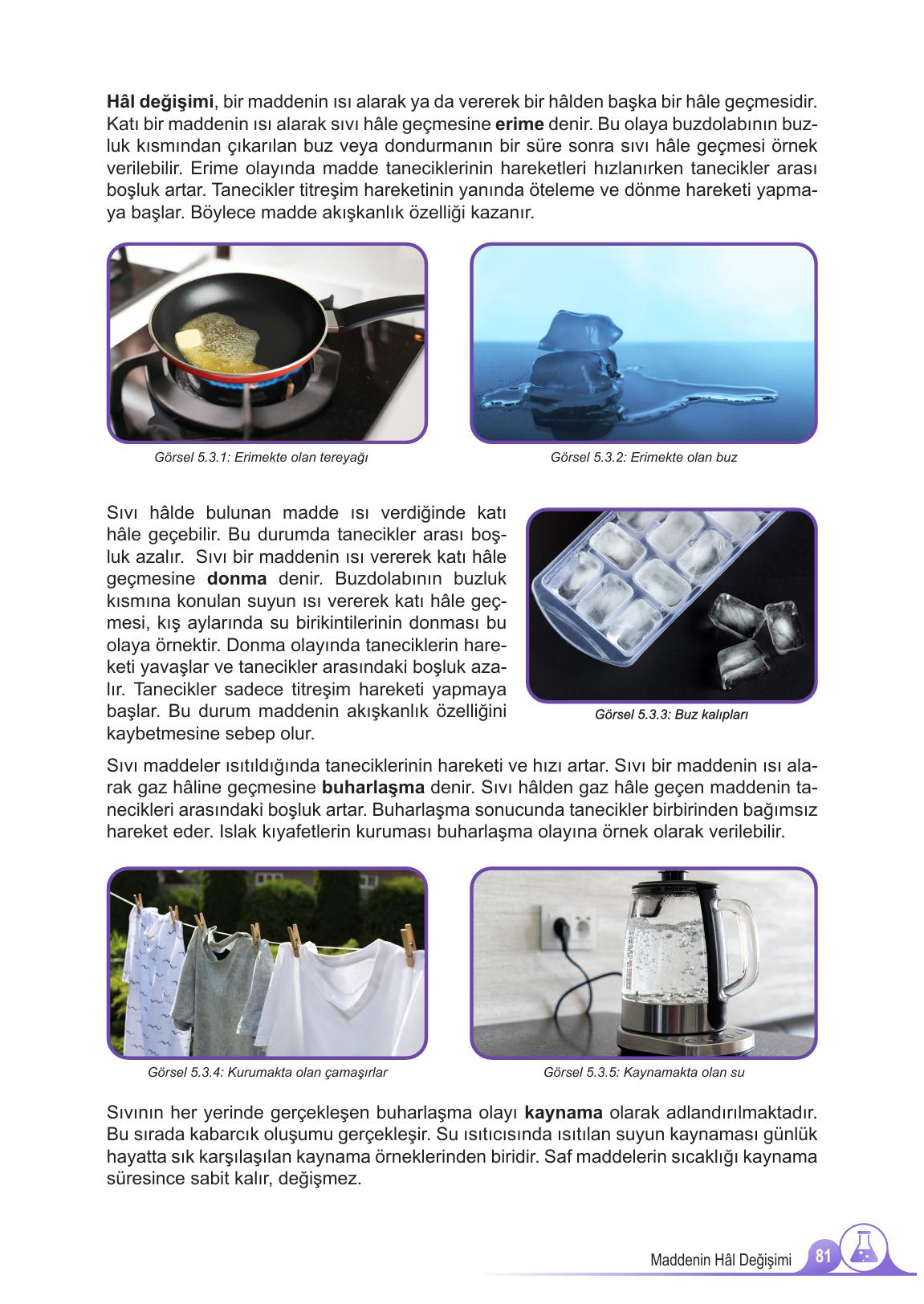 5. Sınıf Meb Yayınları 2. Kitap Fen Bilimleri Ders Kitabı Sayfa 81 Cevapları