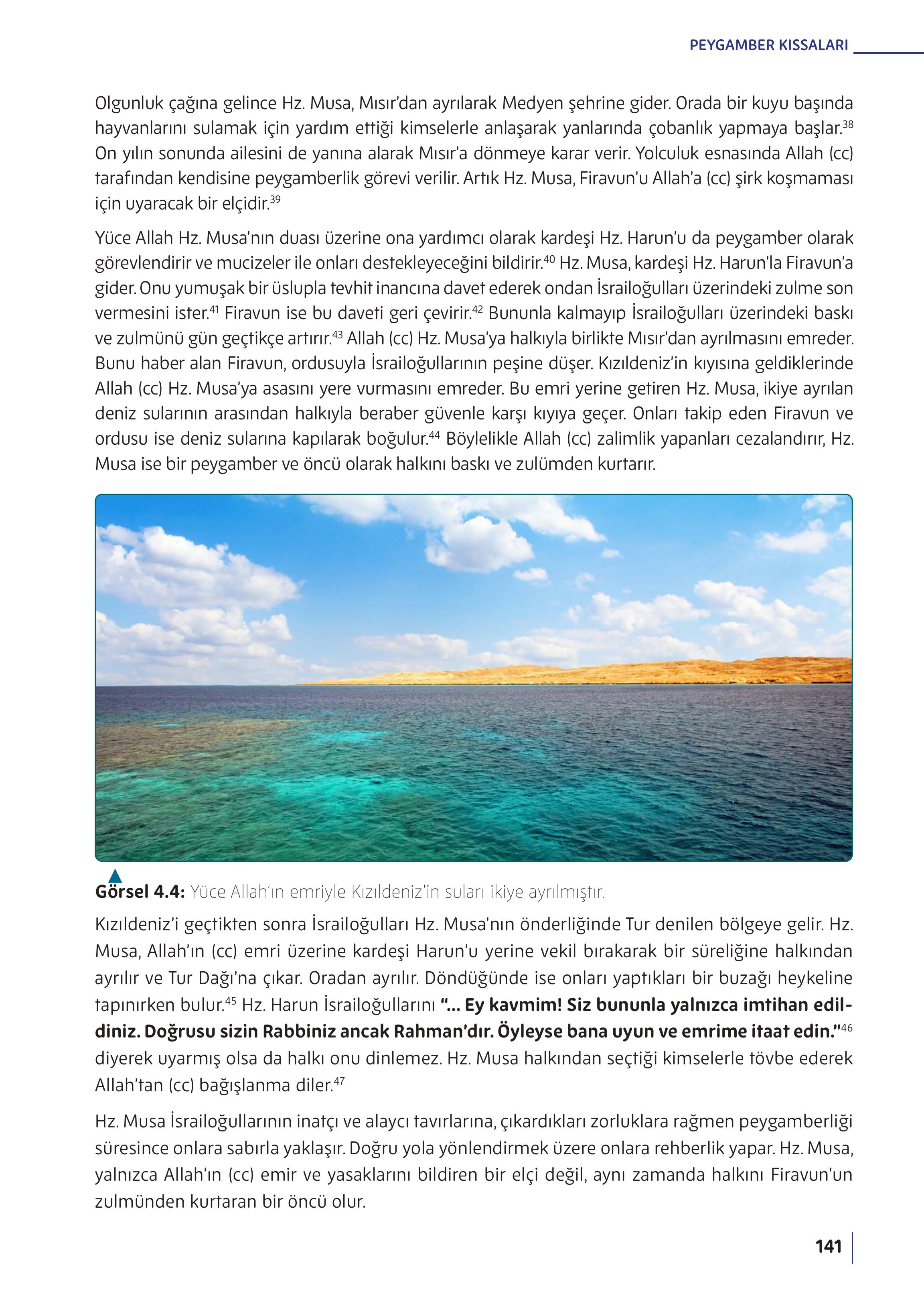 5. Sınıf Meb Yayınları Din Kültürü Ve Ahlak Bilgisi Ders Kitabı Sayfa 141 Cevapları