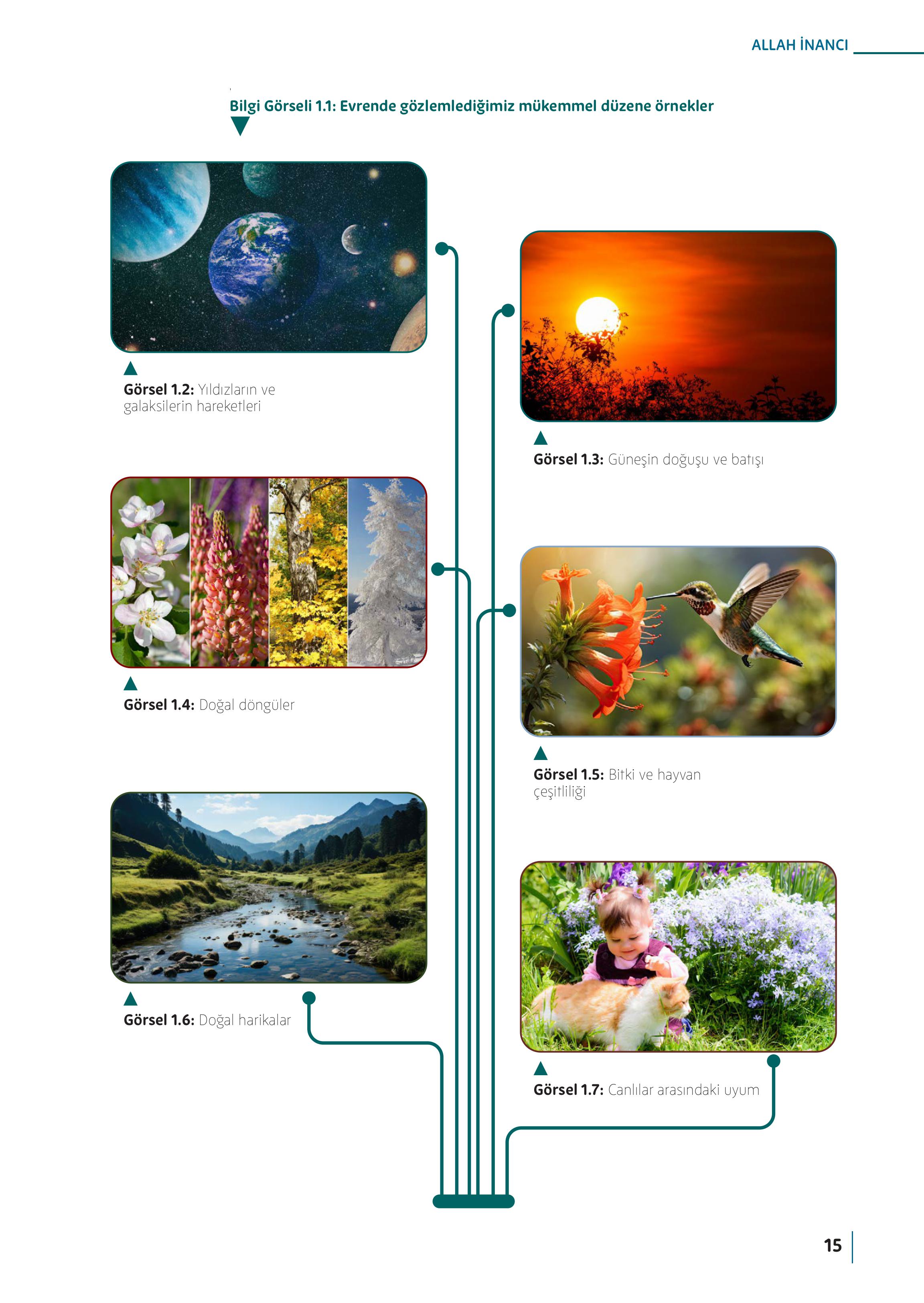 5. Sınıf Meb Yayınları Din Kültürü Ve Ahlak Bilgisi Ders Kitabı Sayfa 15 Cevapları