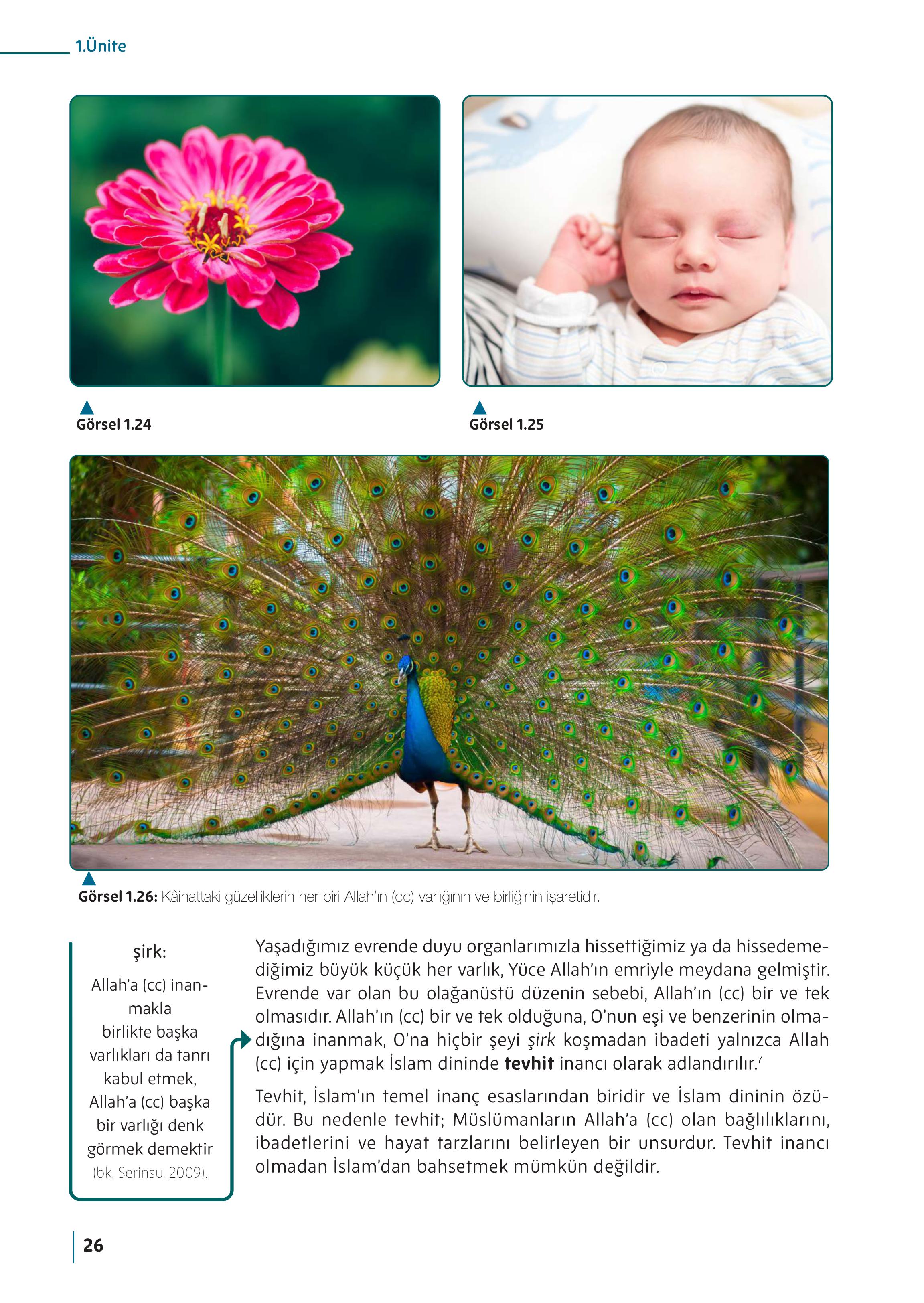 5. Sınıf Meb Yayınları Din Kültürü Ve Ahlak Bilgisi Ders Kitabı Sayfa 26 Cevapları