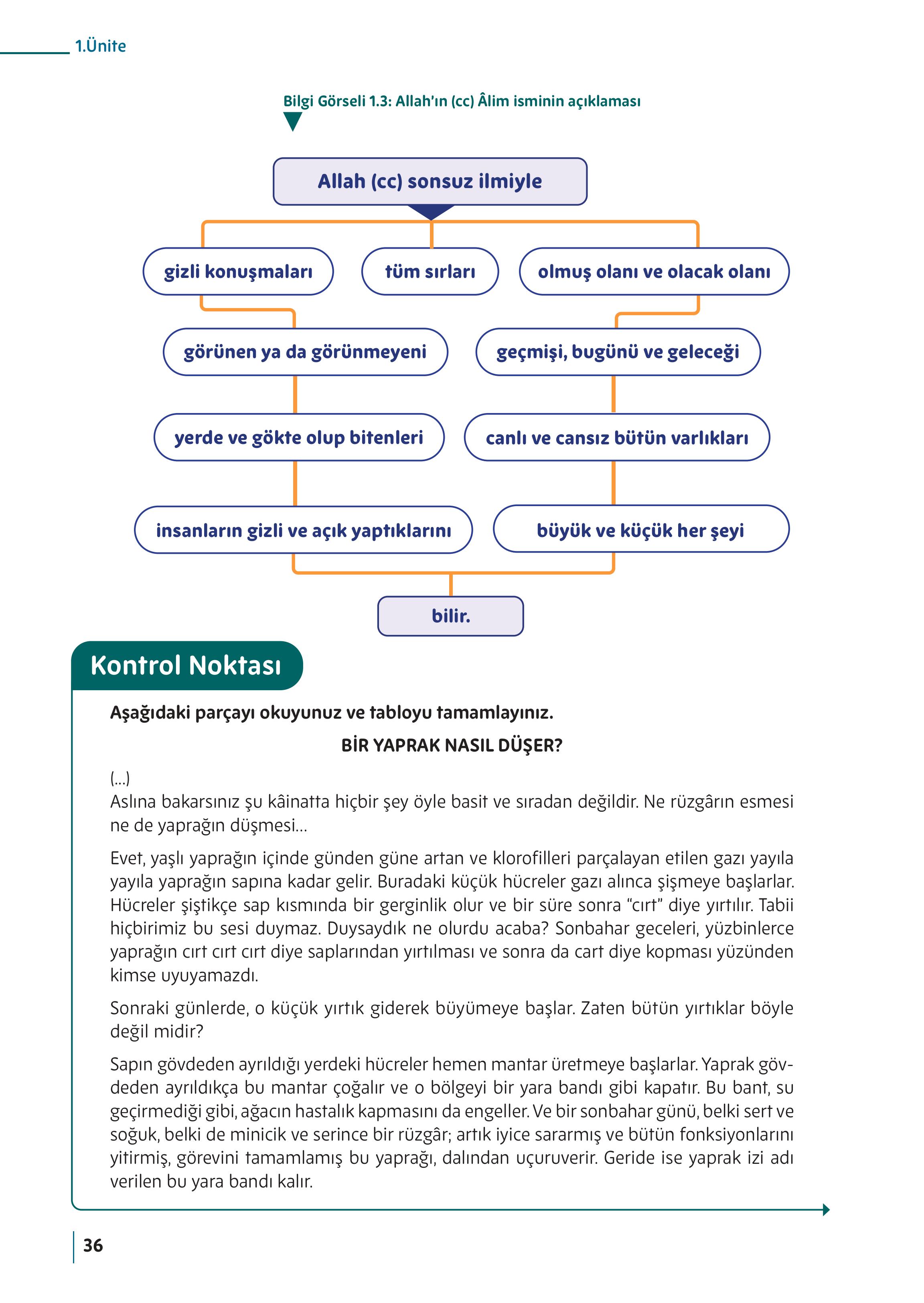5. Sınıf Meb Yayınları Din Kültürü Ve Ahlak Bilgisi Ders Kitabı Sayfa 36 Cevapları