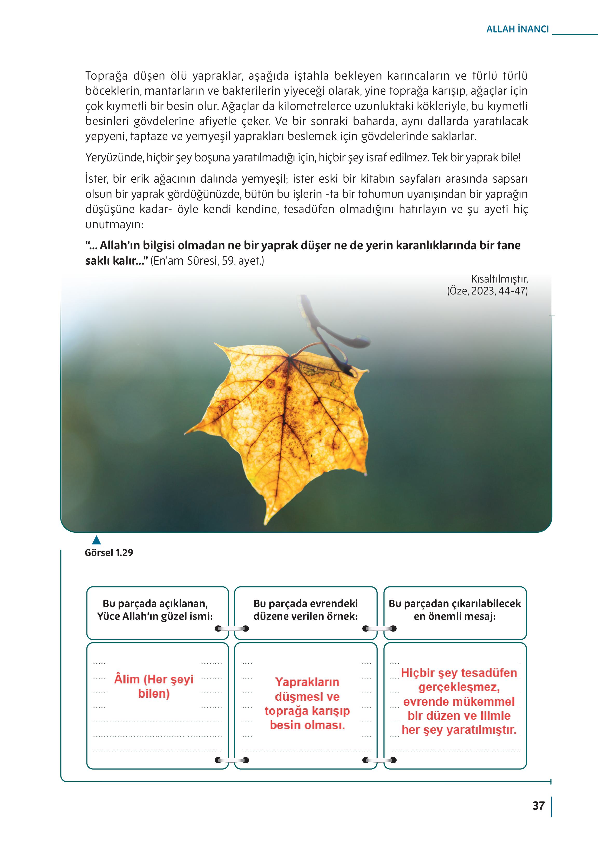 5. Sınıf Meb Yayınları Din Kültürü Ve Ahlak Bilgisi Ders Kitabı Sayfa 37 Cevapları