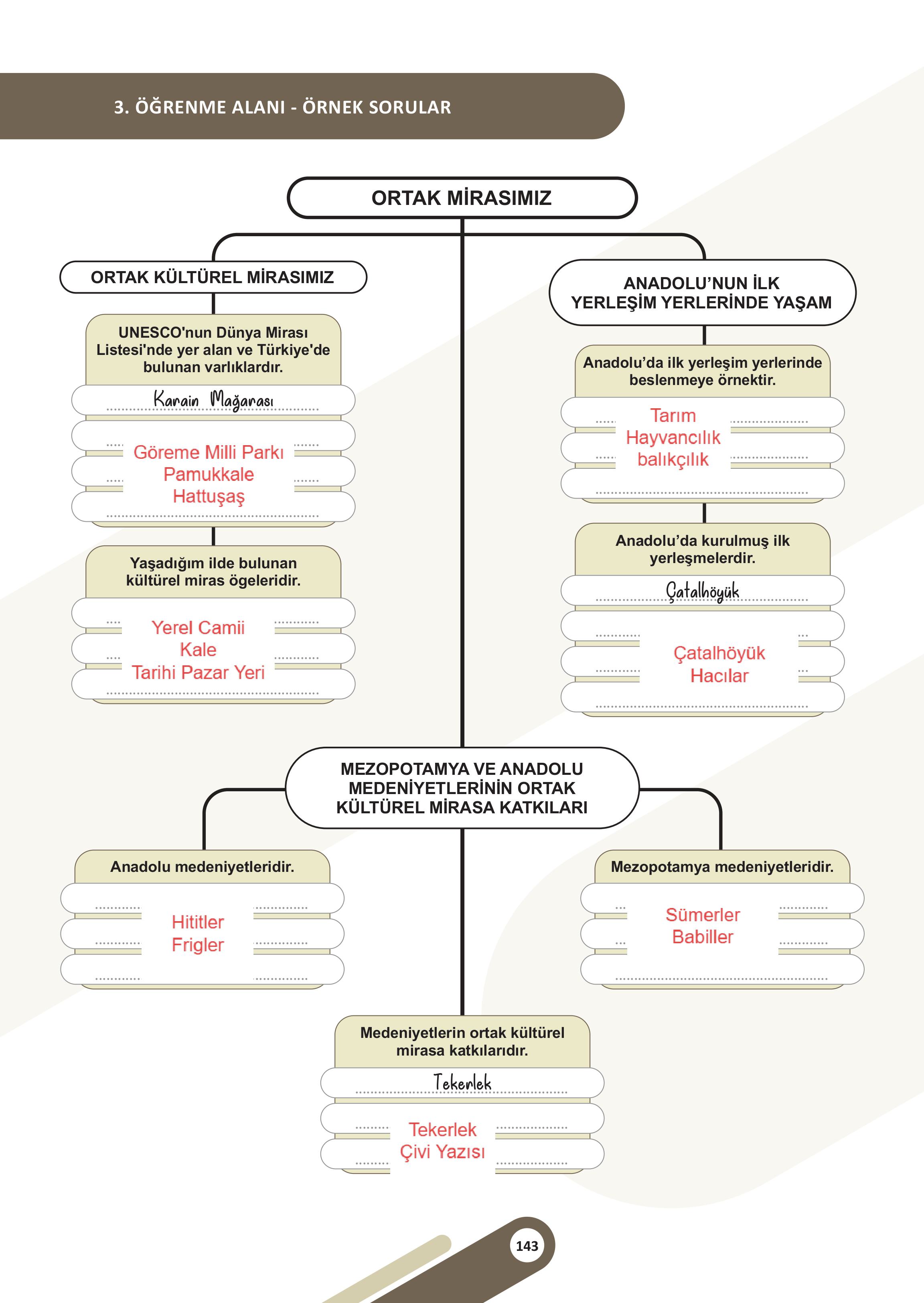 5. Sınıf Meb Yayınları Sosyal Bilgiler Ders Kitabı Sayfa 143 Cevapları