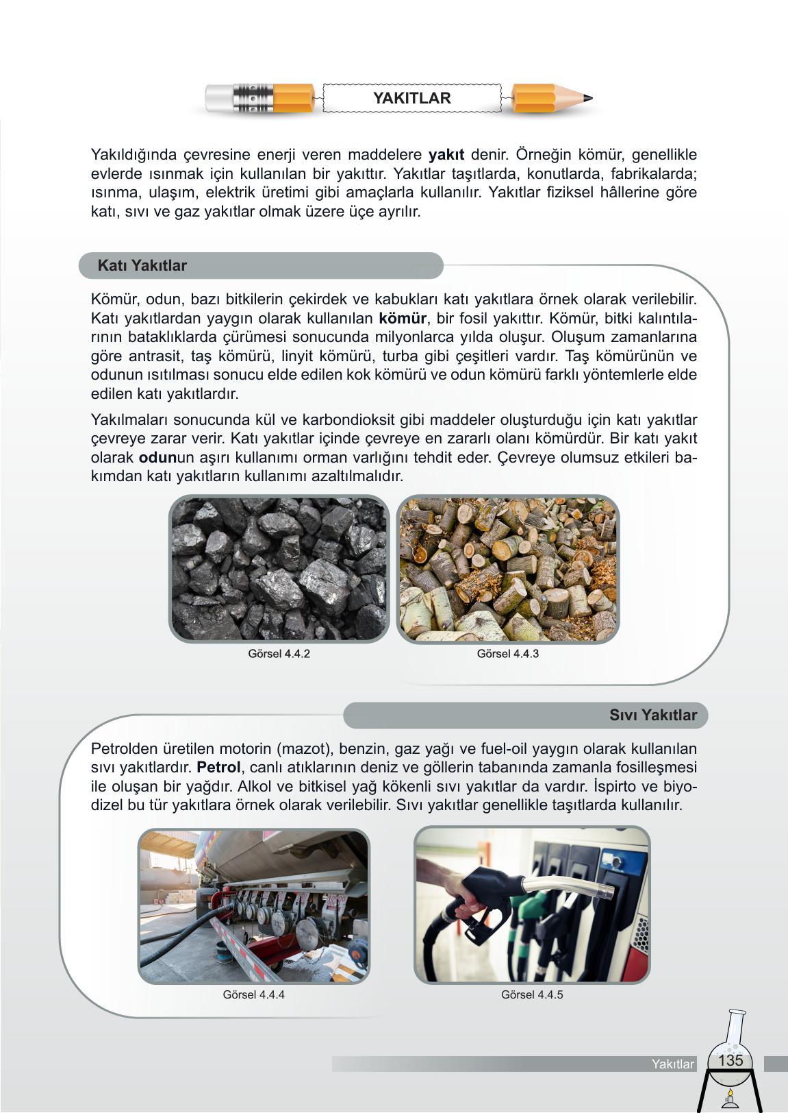 6. Sınıf Meb Yayınları Fen Bilimleri Ders Kitabı Sayfa 135 Cevapları 6. Sınıf Meb Yayınları Fen Bilimleri Ders Kitabı Sayfa 135 Cevapları