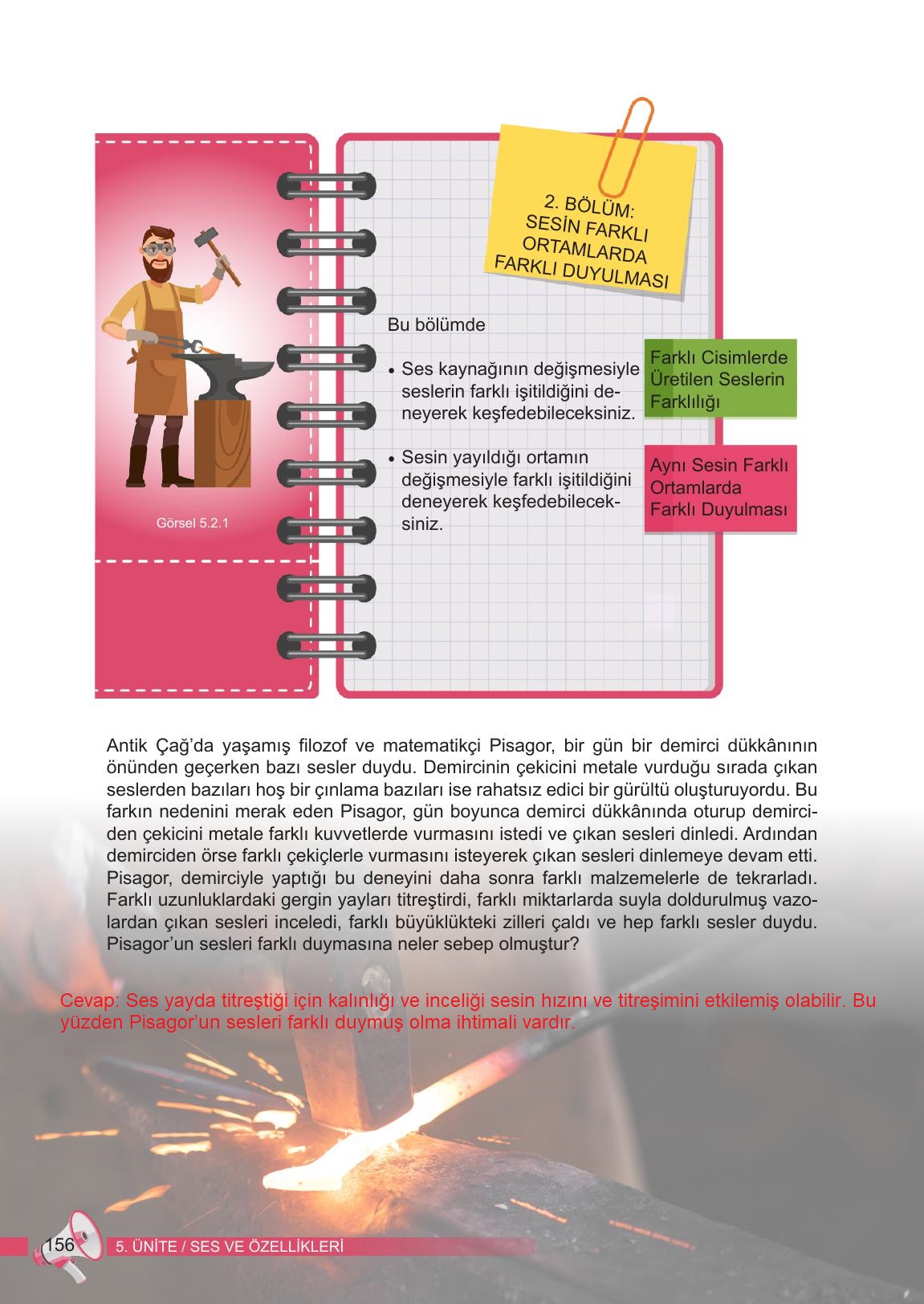 6. Sınıf Meb Yayınları Fen Bilimleri Ders Kitabı Sayfa 156 Cevapları