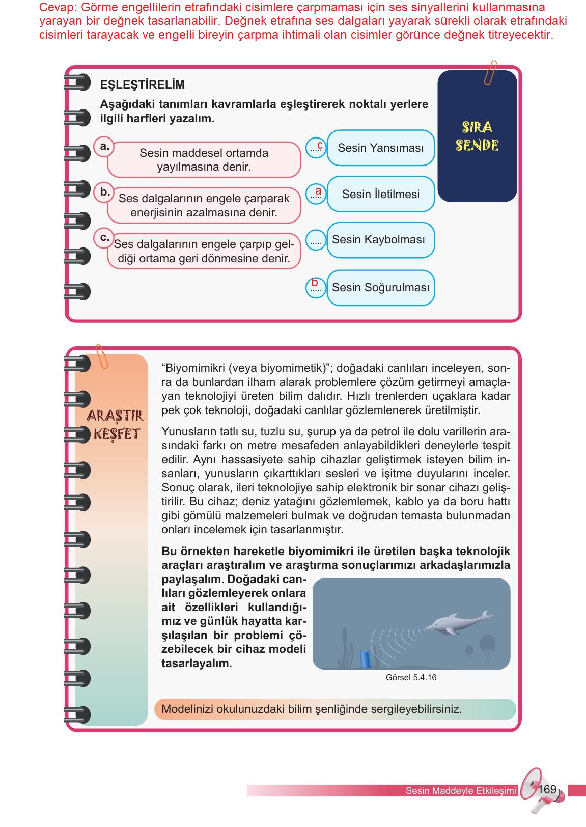 6. Sınıf Meb Yayınları Fen Bilimleri Ders Kitabı Sayfa 169 Cevapları