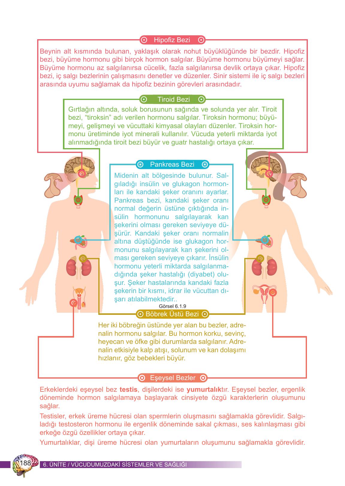 6. Sınıf Meb Yayınları Fen Bilimleri Ders Kitabı Sayfa 188 Cevapları 6. Sınıf Meb Yayınları Fen Bilimleri Ders Kitabı Sayfa 188 Cevapları