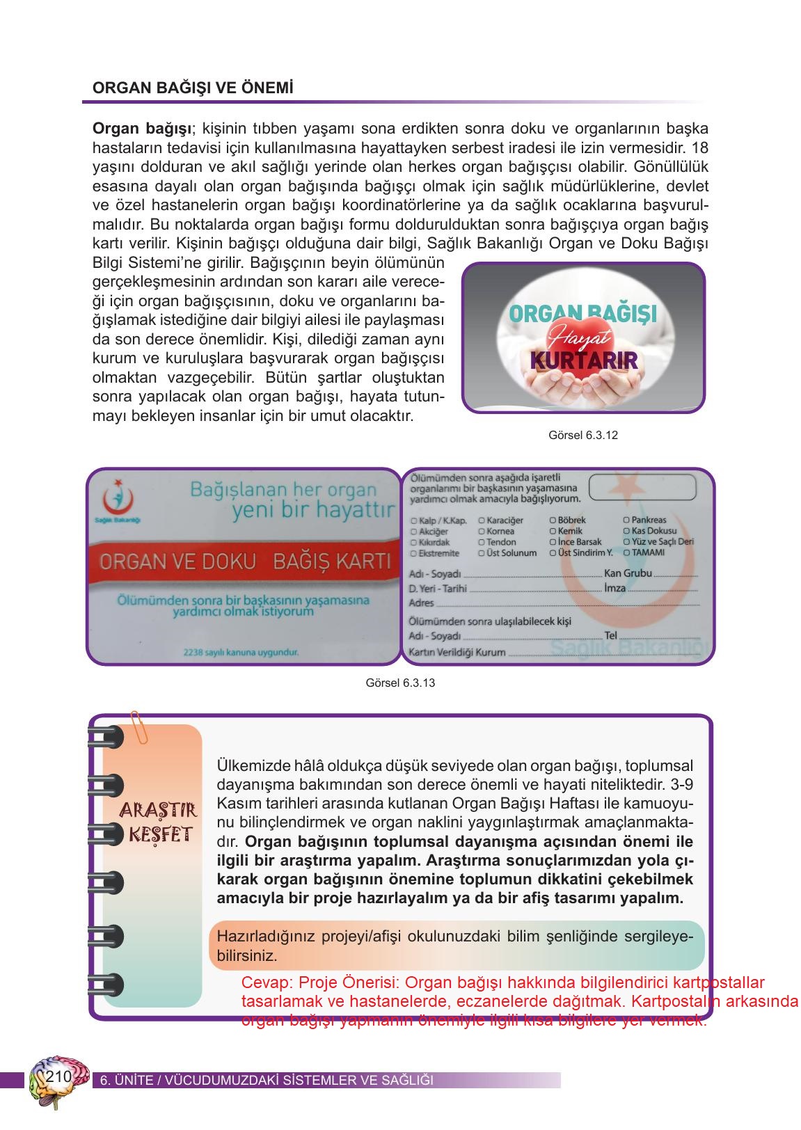 6. Sınıf Meb Yayınları Fen Bilimleri Ders Kitabı Sayfa 210 Cevapları