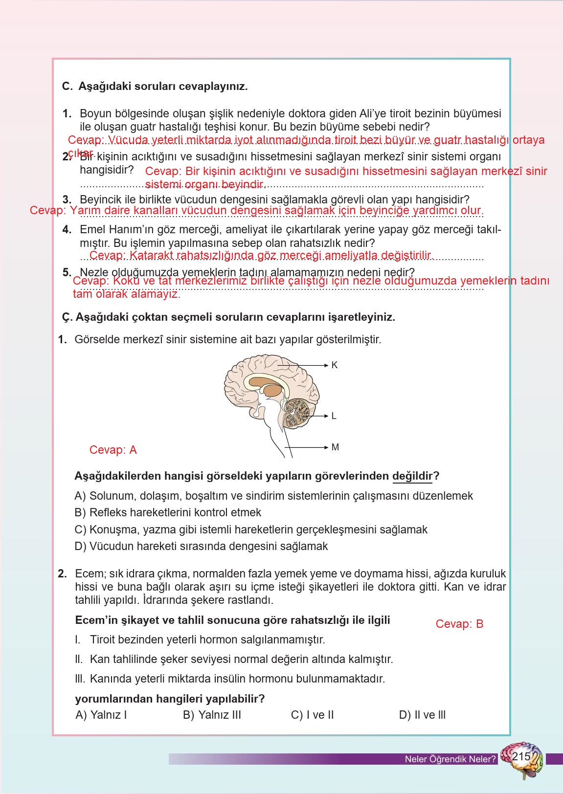 6. Sınıf Meb Yayınları Fen Bilimleri Ders Kitabı Sayfa 215 Cevapları 6. Sınıf Meb Yayınları Fen Bilimleri Ders Kitabı Sayfa 215 Cevapları