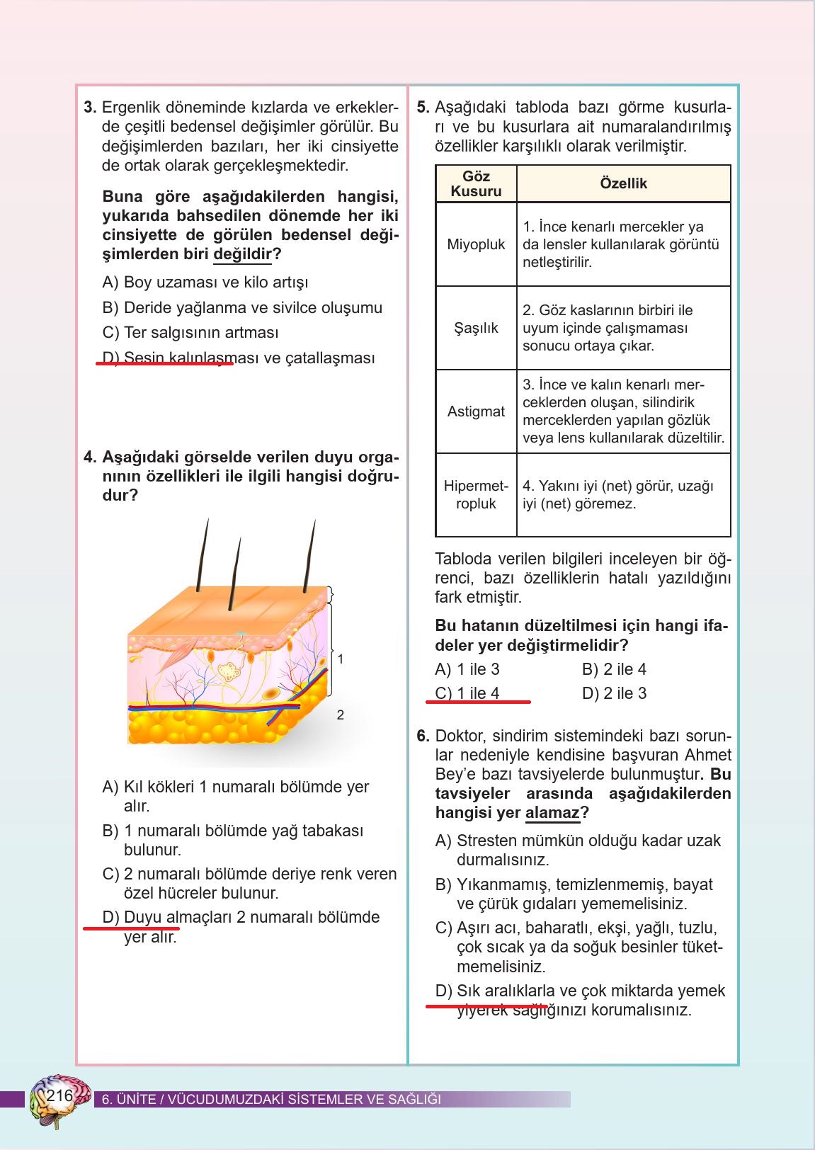 6. Sınıf Meb Yayınları Fen Bilimleri Ders Kitabı Sayfa 216 Cevapları