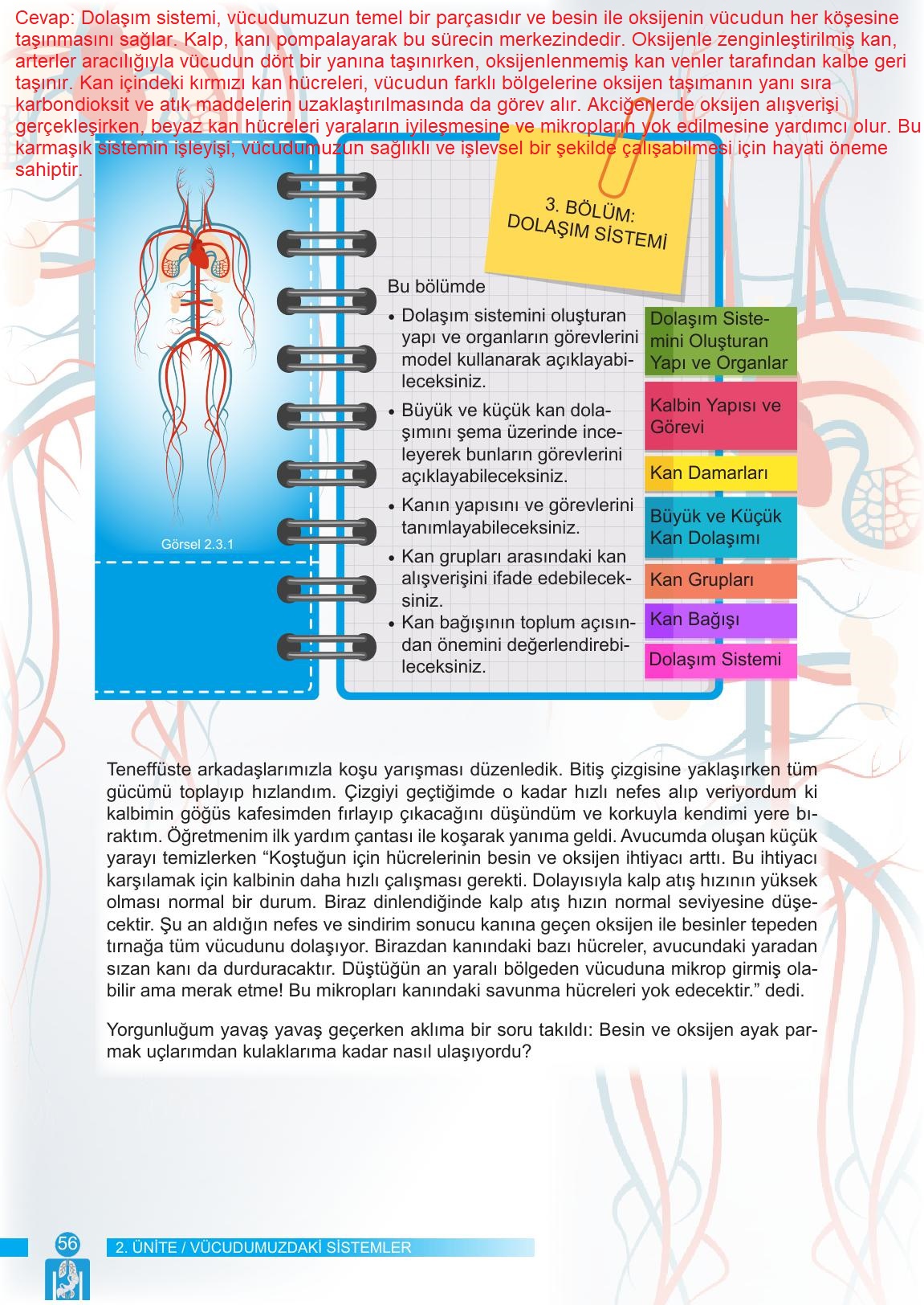 6. Sınıf Meb Yayınları Fen Bilimleri Ders Kitabı Sayfa 56 Cevapları 6. Sınıf Meb Yayınları Fen Bilimleri Ders Kitabı Sayfa 56 Cevapları