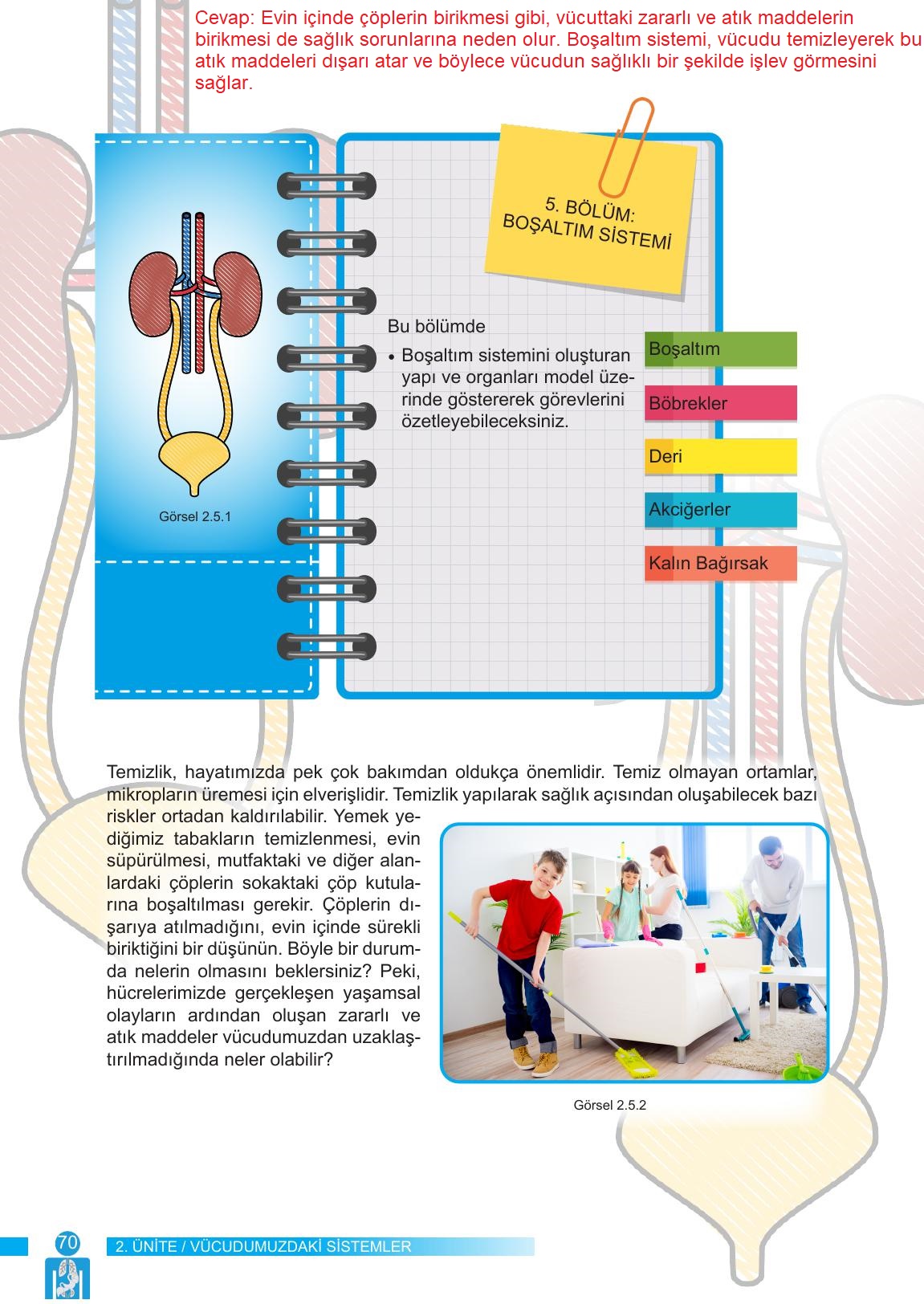 6. Sınıf Meb Yayınları Fen Bilimleri Ders Kitabı Sayfa 70 Cevapları 6. Sınıf Meb Yayınları Fen Bilimleri Ders Kitabı Sayfa 70 Cevapları