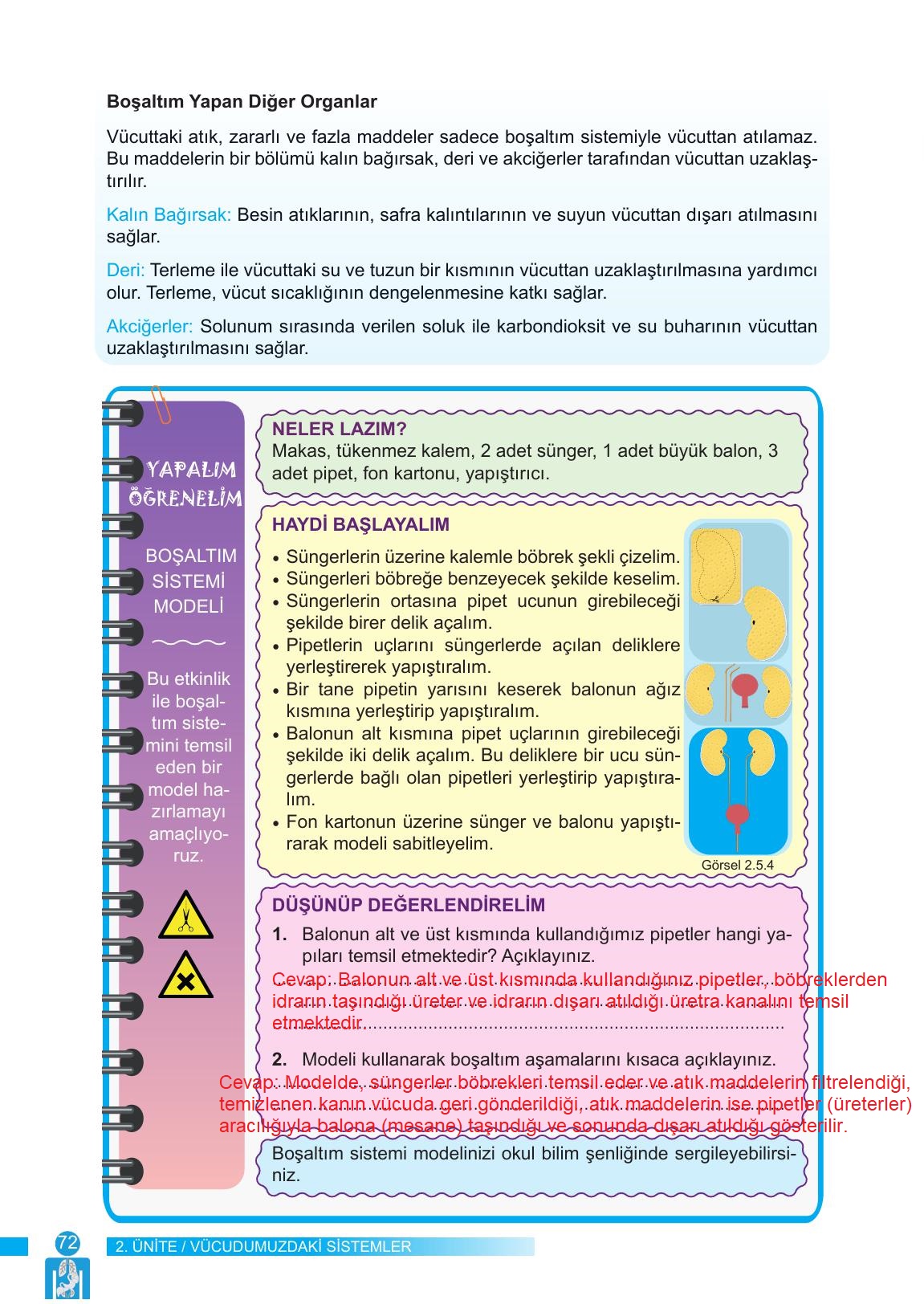 6. Sınıf Meb Yayınları Fen Bilimleri Ders Kitabı Sayfa 72 Cevapları