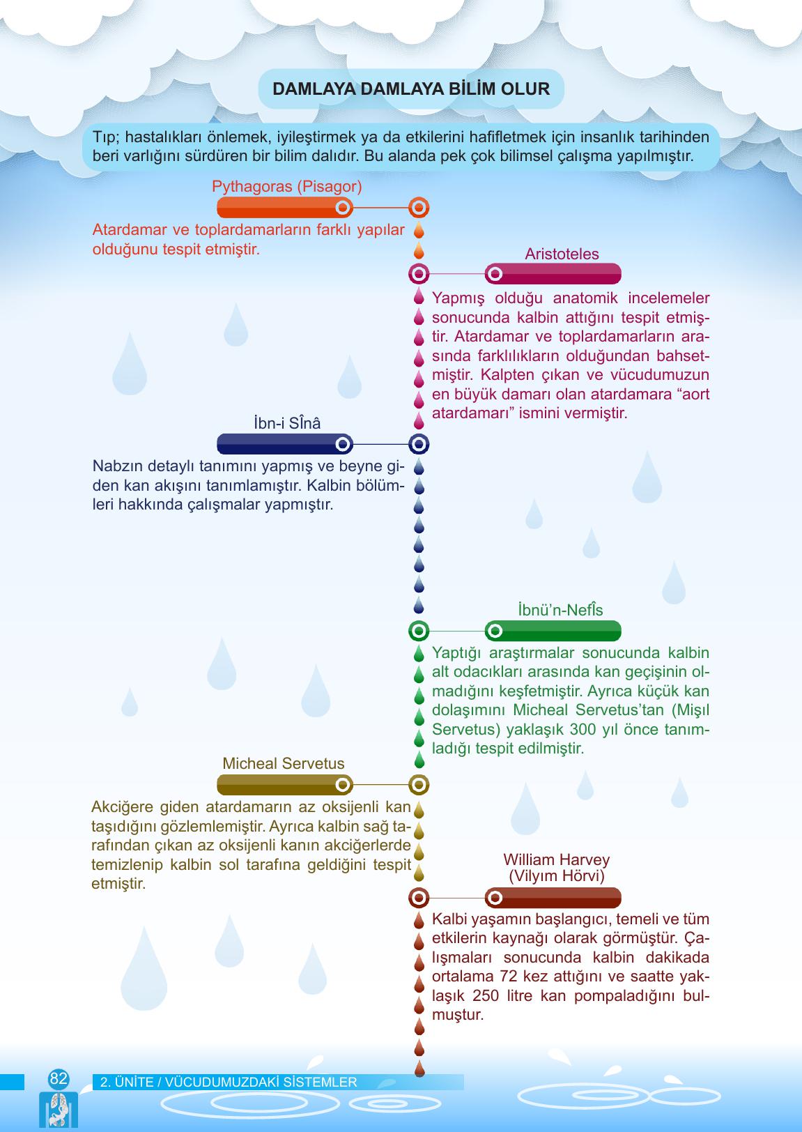 6. Sınıf Meb Yayınları Fen Bilimleri Ders Kitabı Sayfa 82 Cevapları
