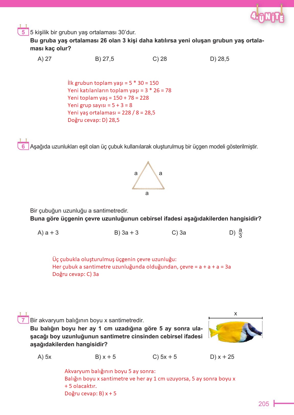 6. Sınıf Meb Yayınları Matematik Ders Kitabı Sayfa 205 Cevapları