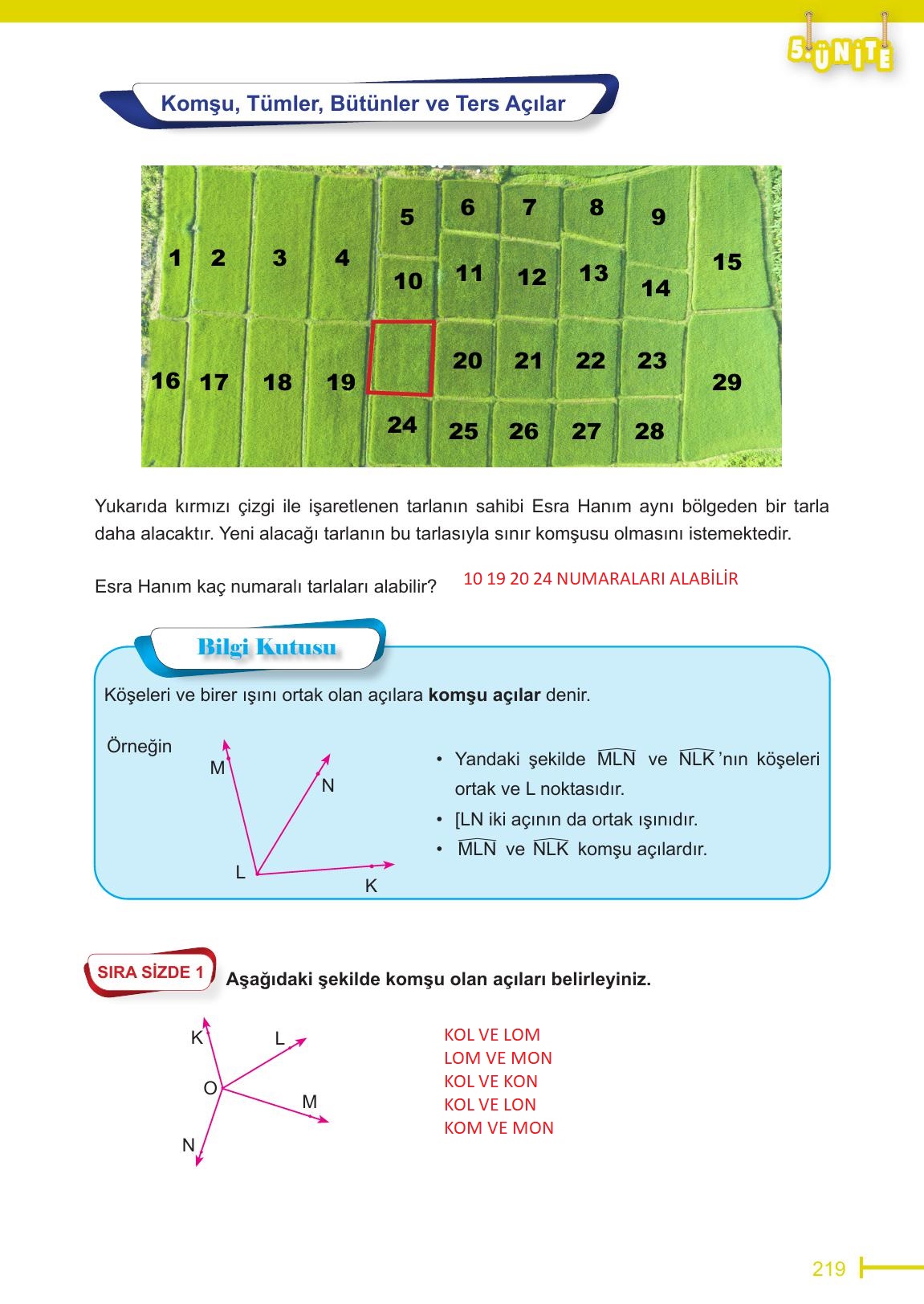 6. Sınıf Meb Yayınları Matematik Ders Kitabı Sayfa 219 Cevapları