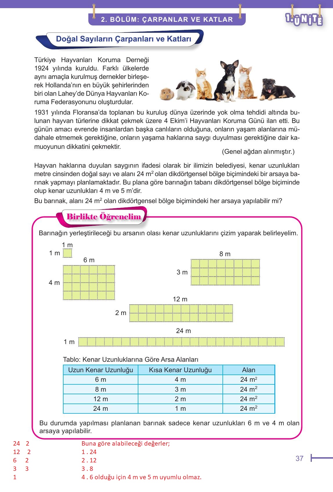 6. Sınıf Meb Yayınları Matematik Ders Kitabı Sayfa 37 Cevapları