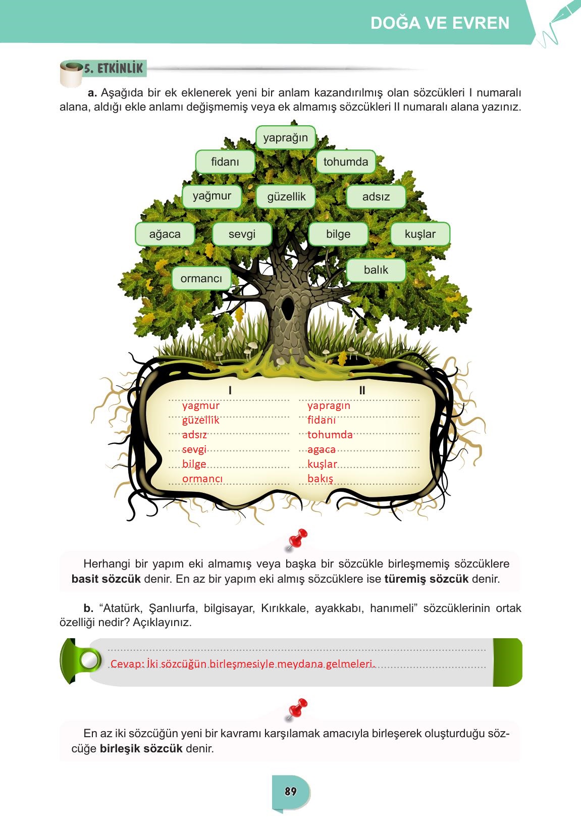 6. Sınıf Meb Yayınları Türkçe Ders Kitabı Sayfa 89 Cevapları