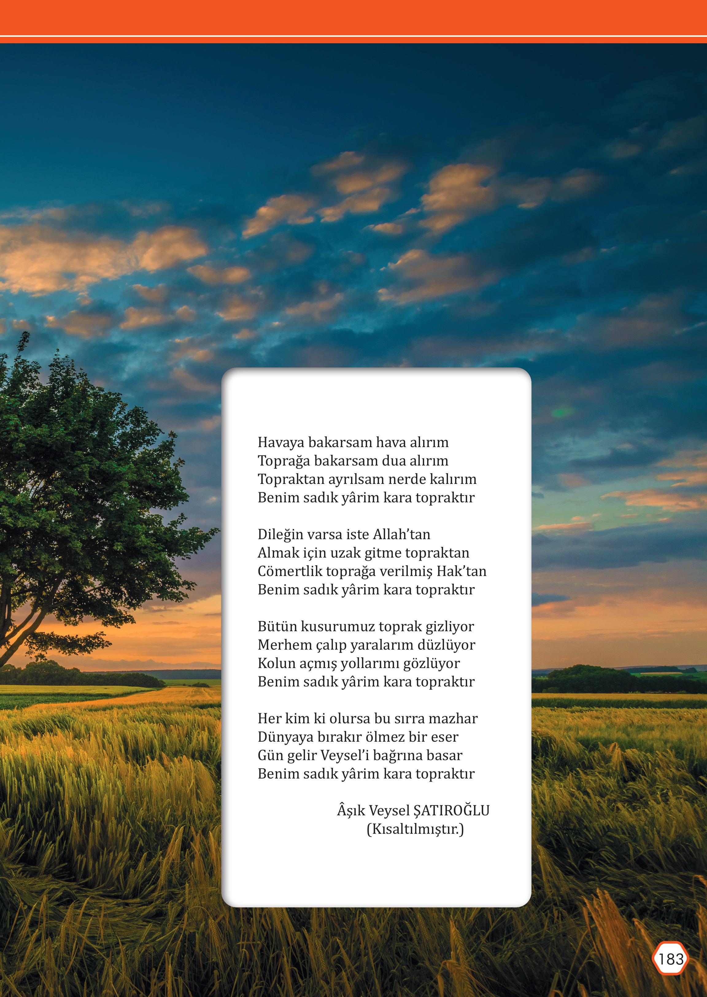 7. Sınıf Meb Yayınları Türkçe Ders Kitabı Sayfa 183 Cevapları