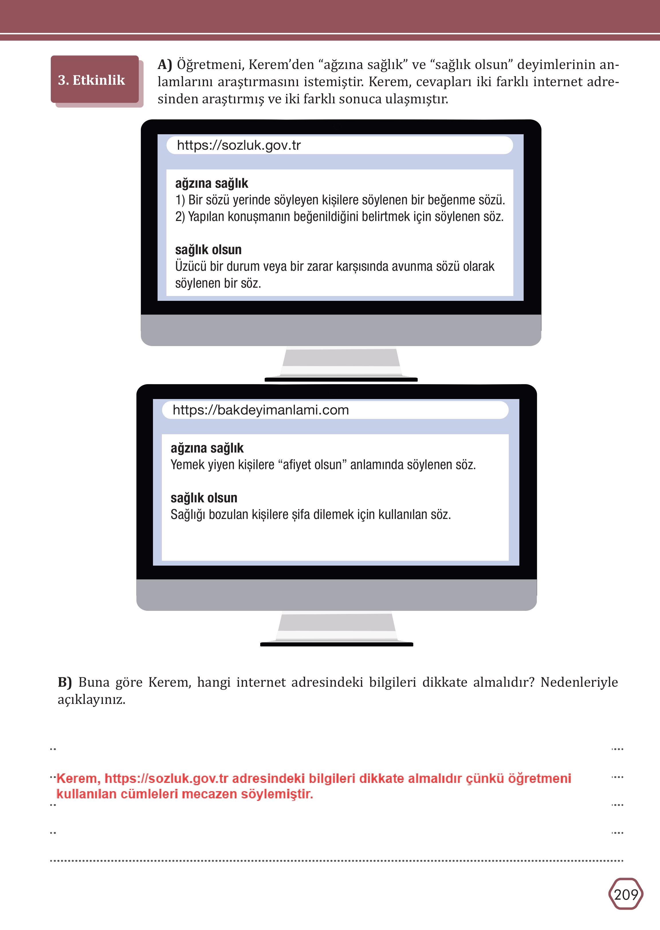 7. Sınıf Meb Yayınları Türkçe Ders Kitabı Sayfa 209 Cevapları