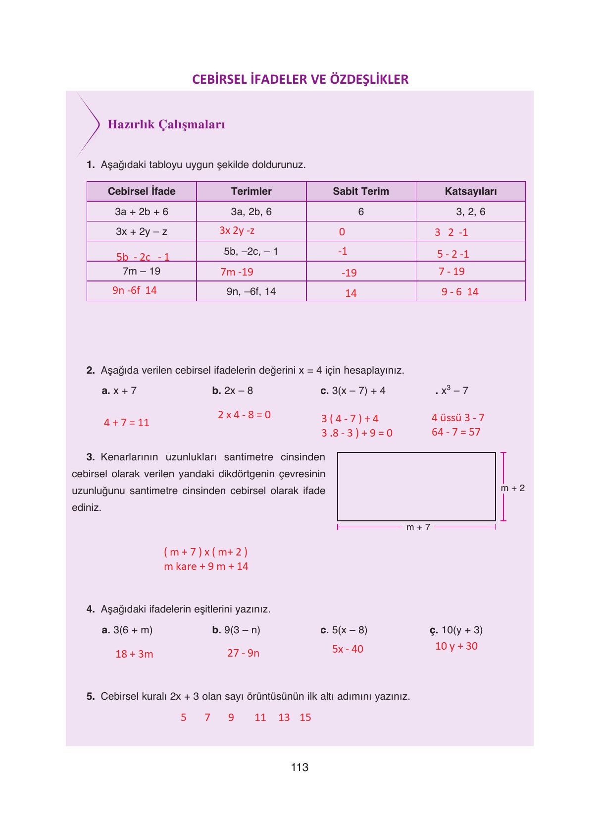 8. Sınıf Ada Yayıncılık Matematik Ders Kitabı Sayfa 113 Cevapları