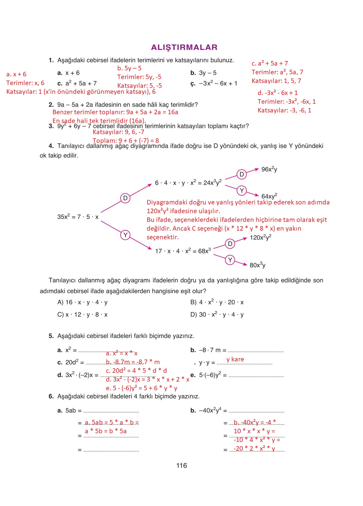 8. Sınıf Ada Yayıncılık Matematik Ders Kitabı Sayfa 116 Cevapları