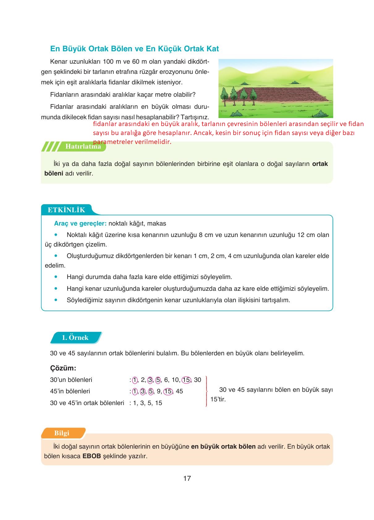 8. Sınıf Ada Yayıncılık Matematik Ders Kitabı Sayfa 17 Cevapları