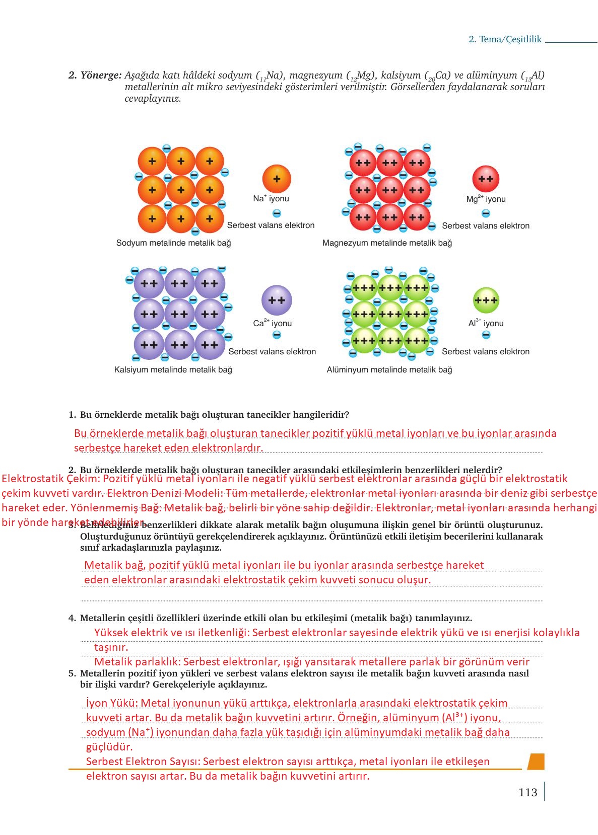 9. Sınıf Meb Yayınları Kimya Ders Kitabı Sayfa 113 Cevapları